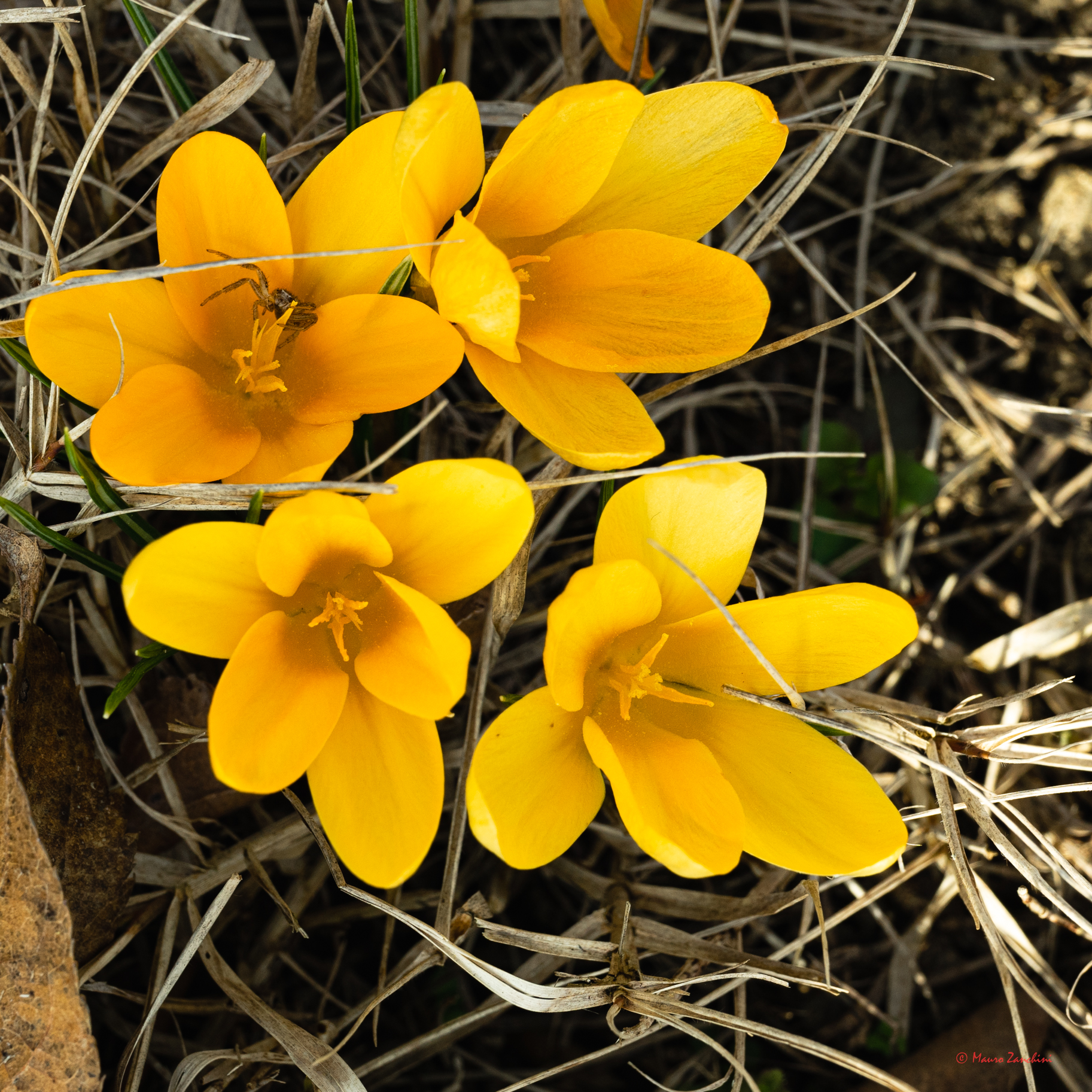 Perché mi disturbi?