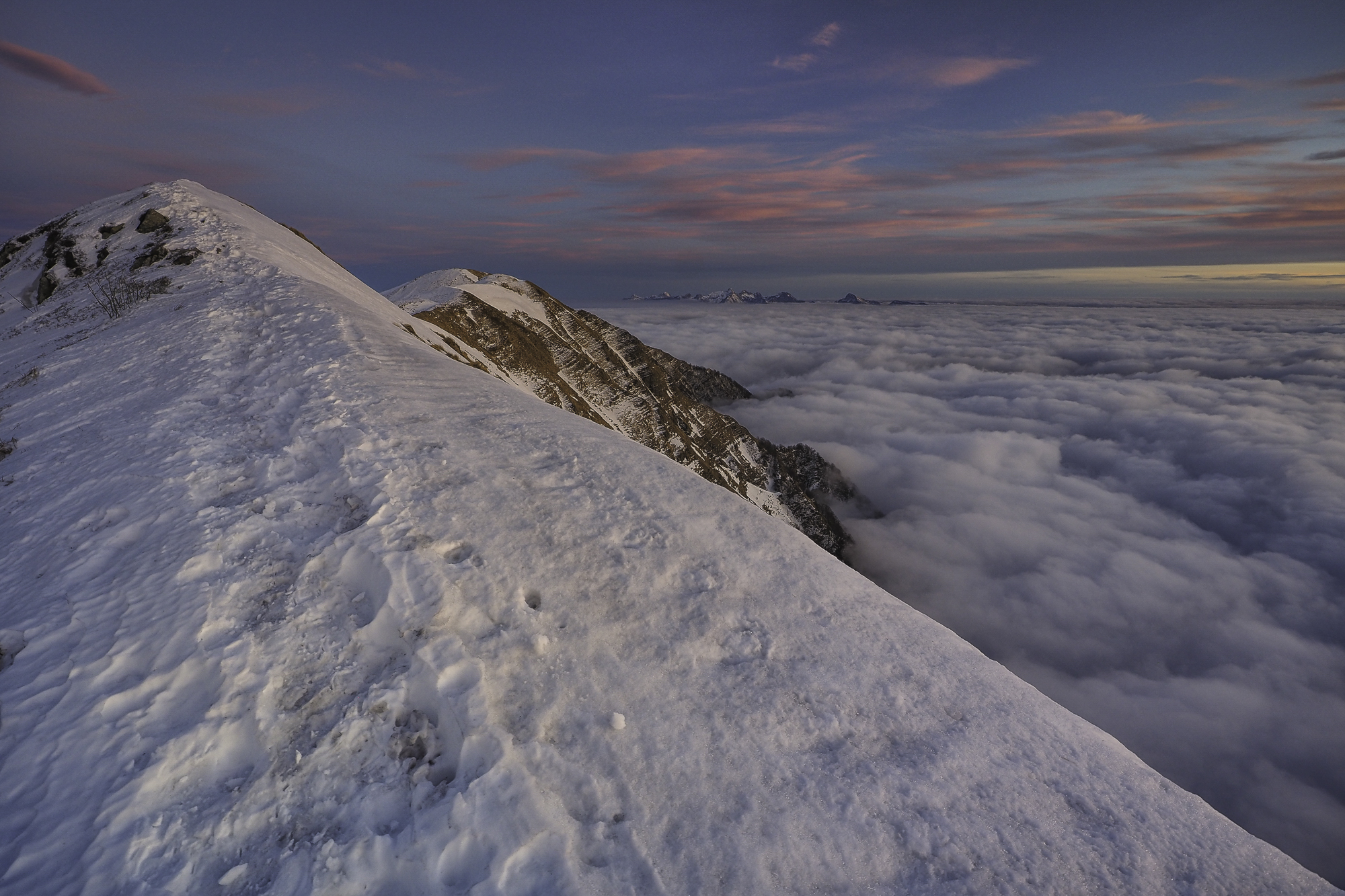 Don't miss the moment