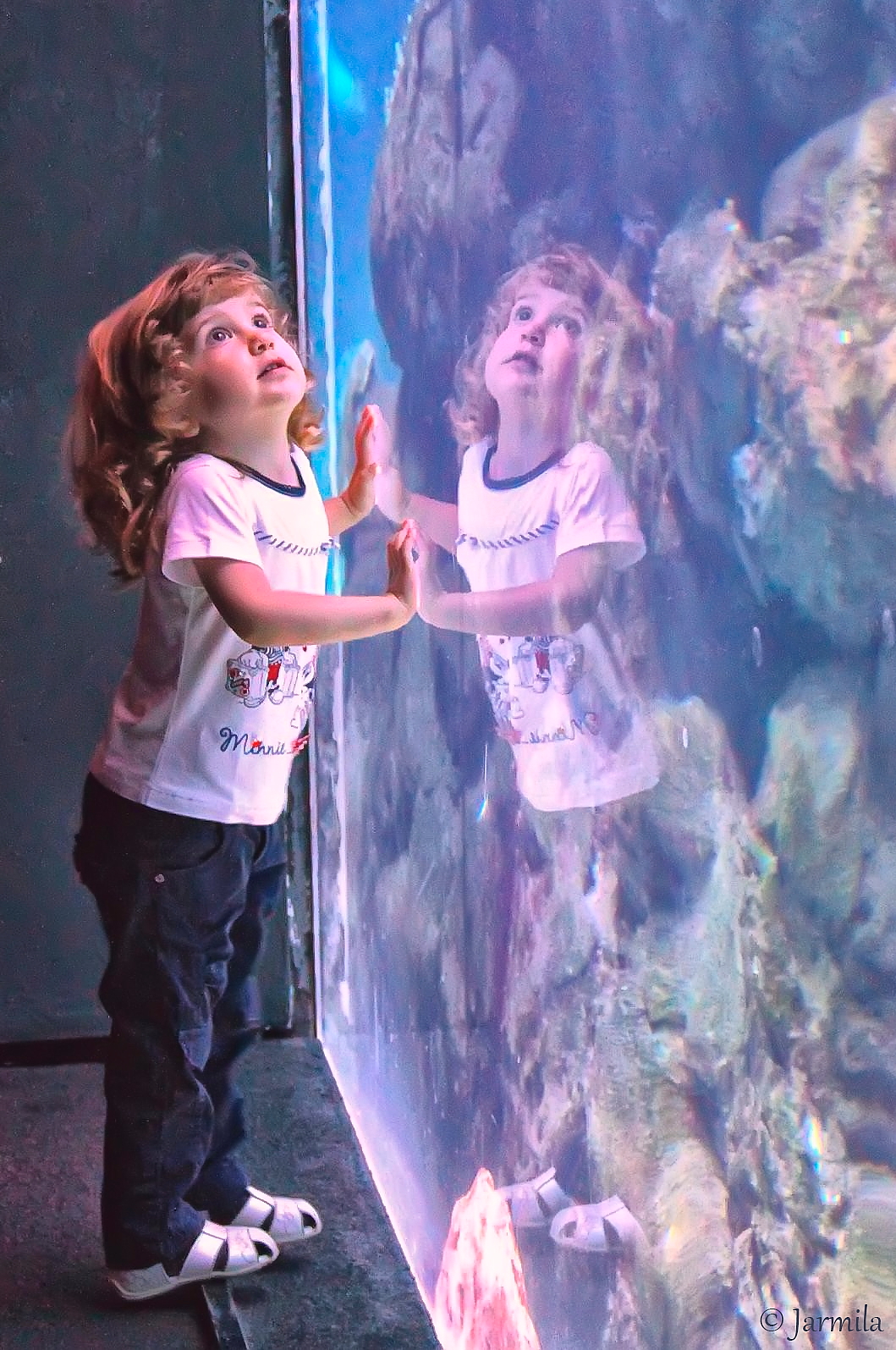 I riflessi della felicità