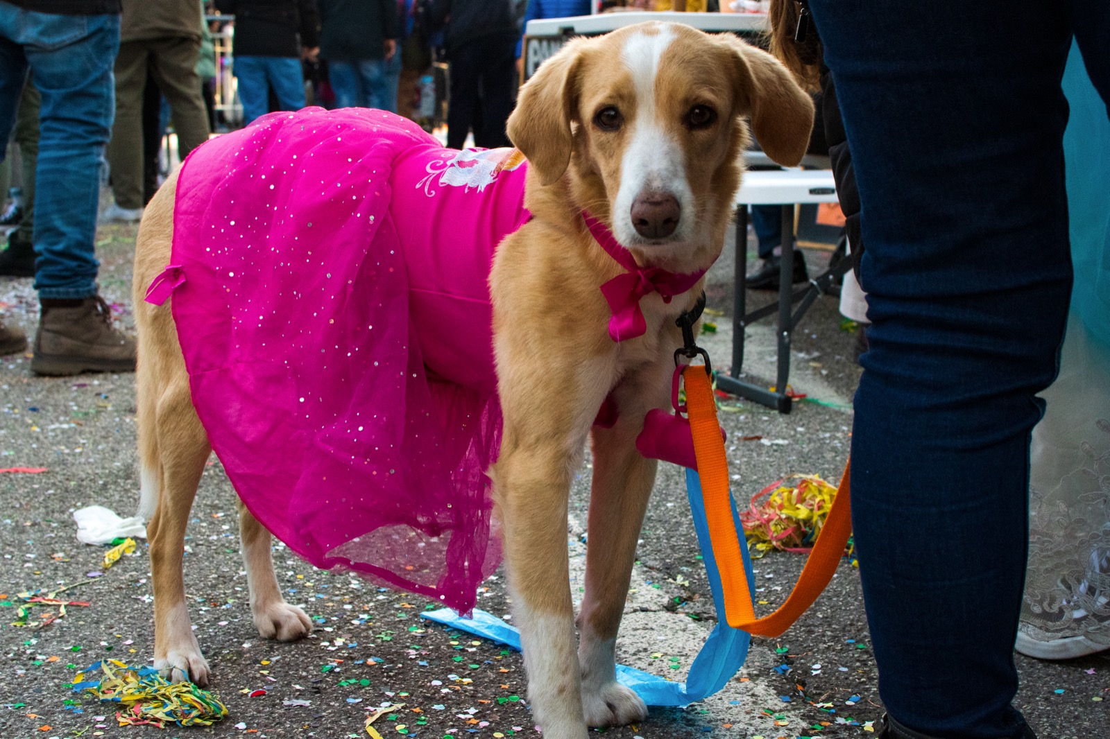 Princess at Carnival