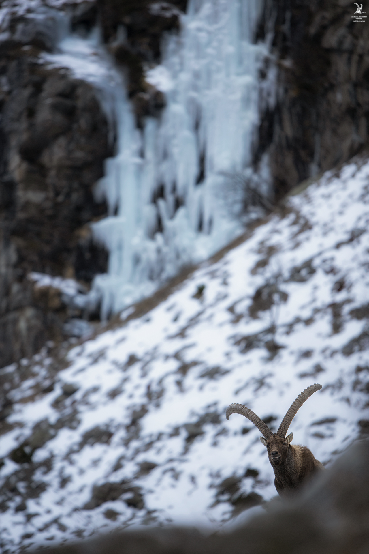 In the kingdom of ice