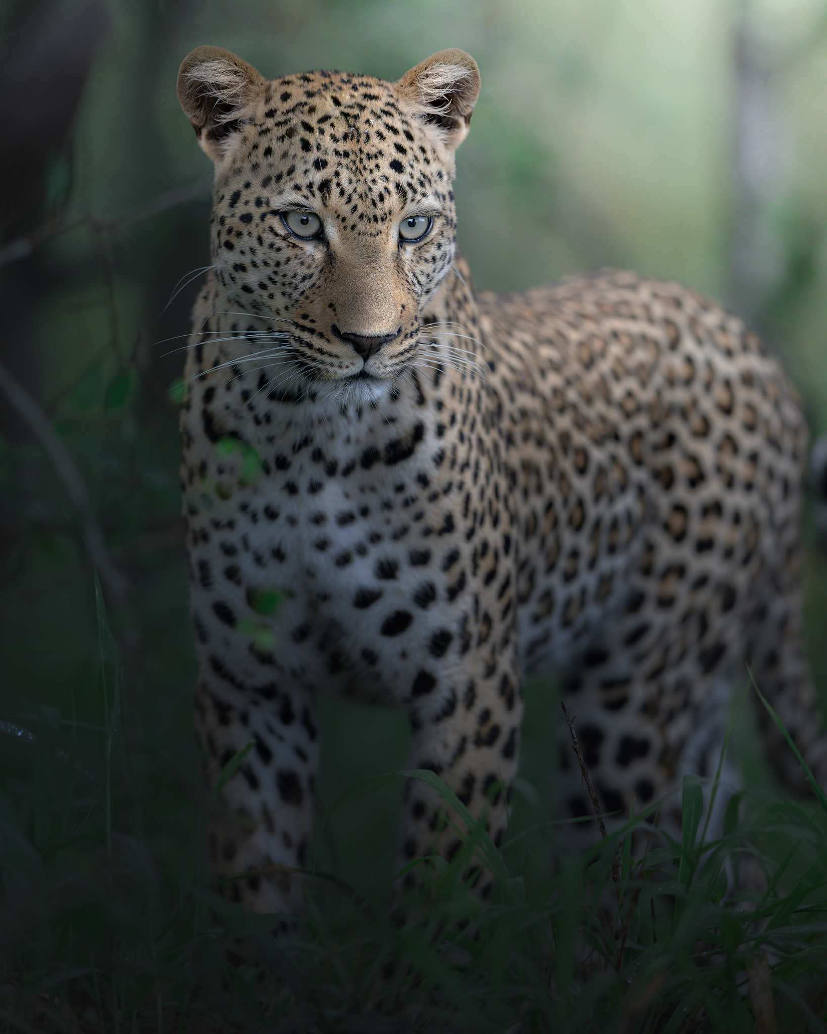 Is there anything more beautiful?