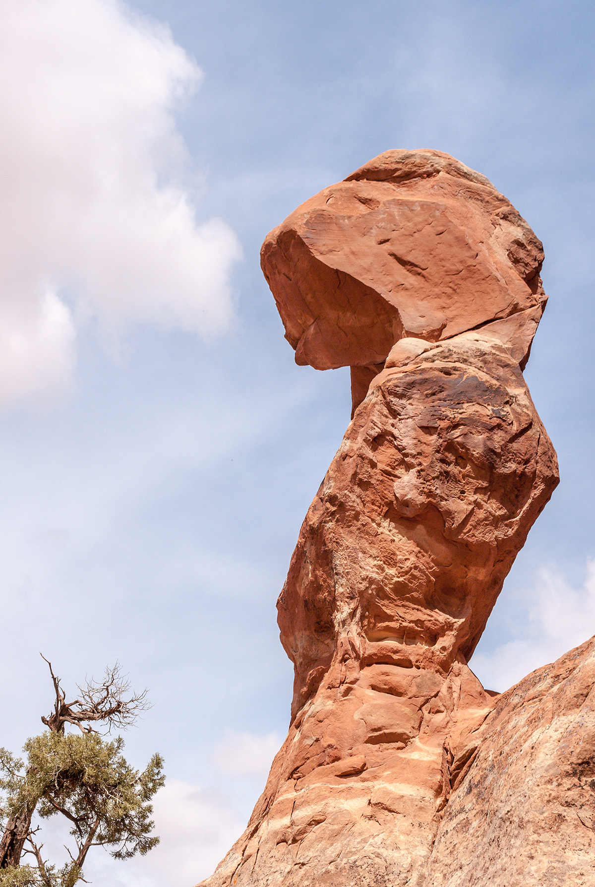 La Signora del parco...