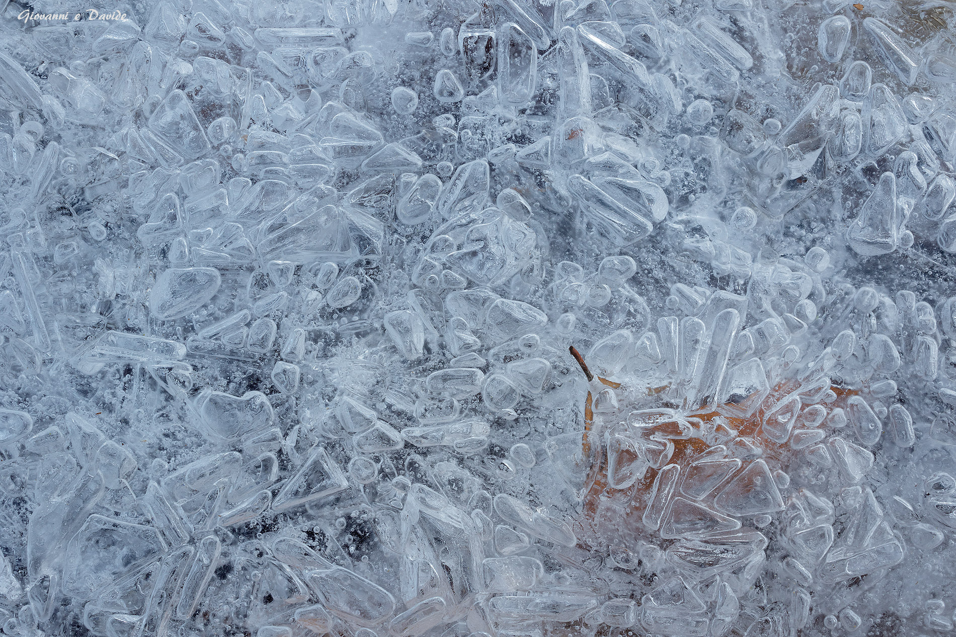 ... Among a thousand bubbles..