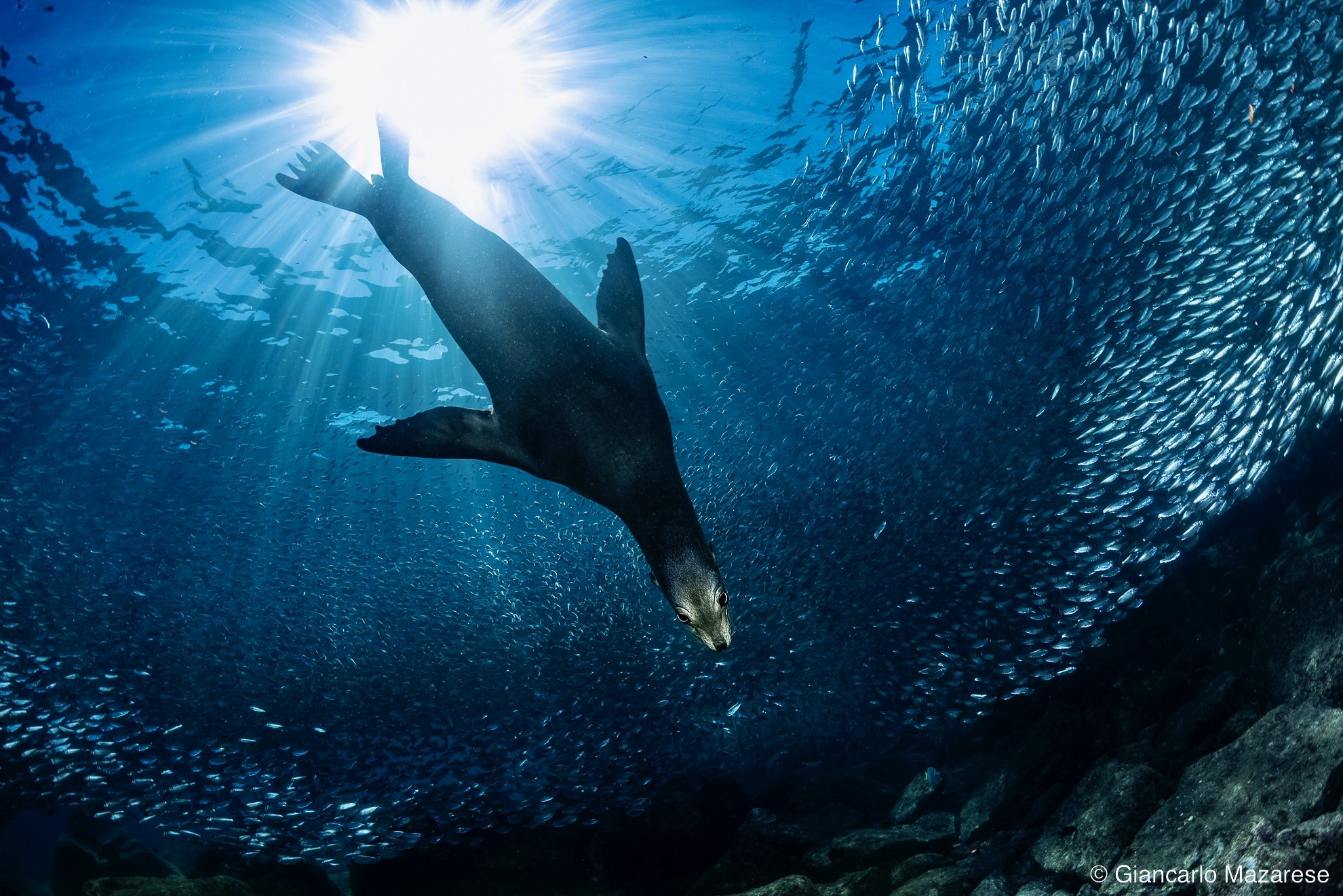 Underwater evolutions