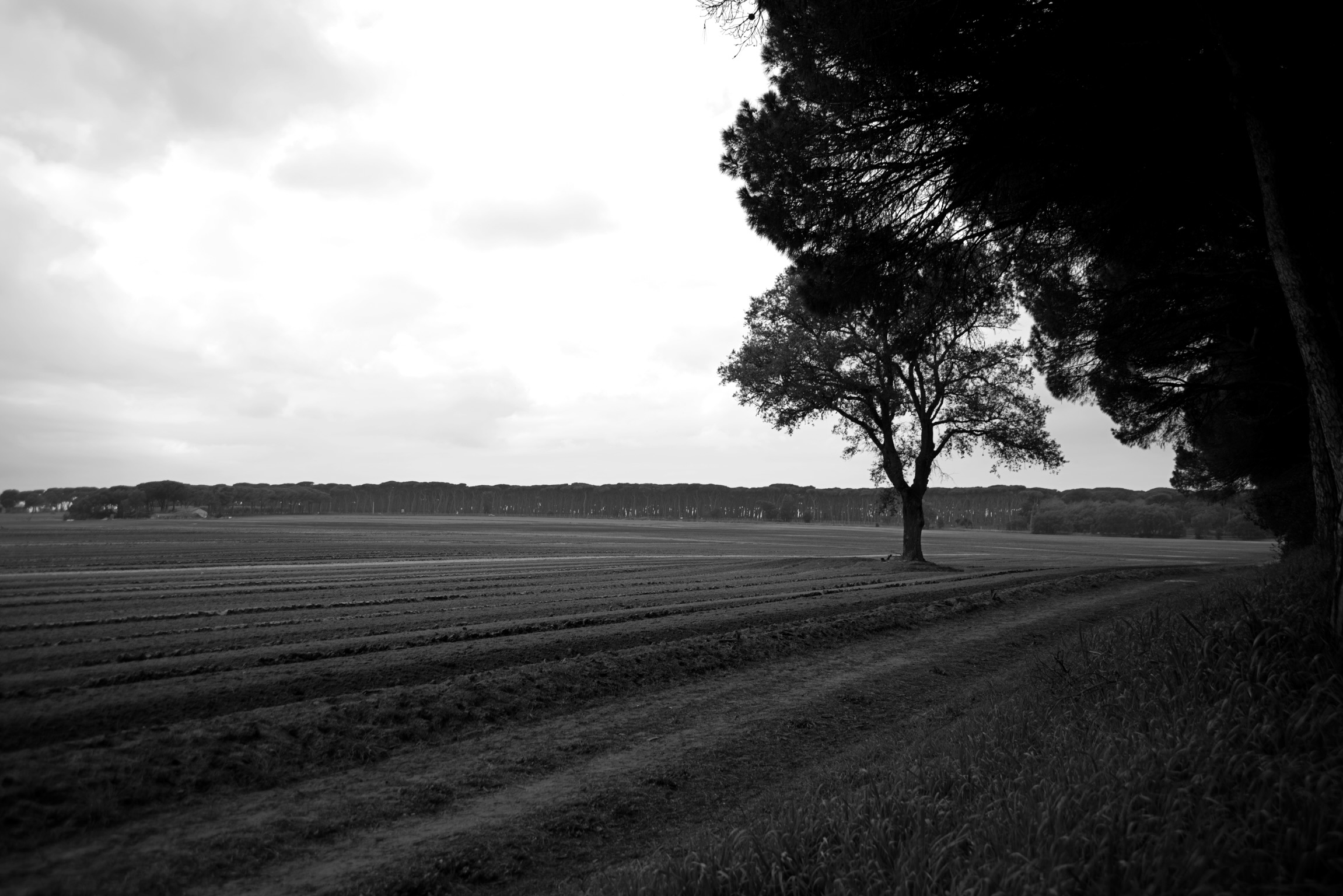 Campagna