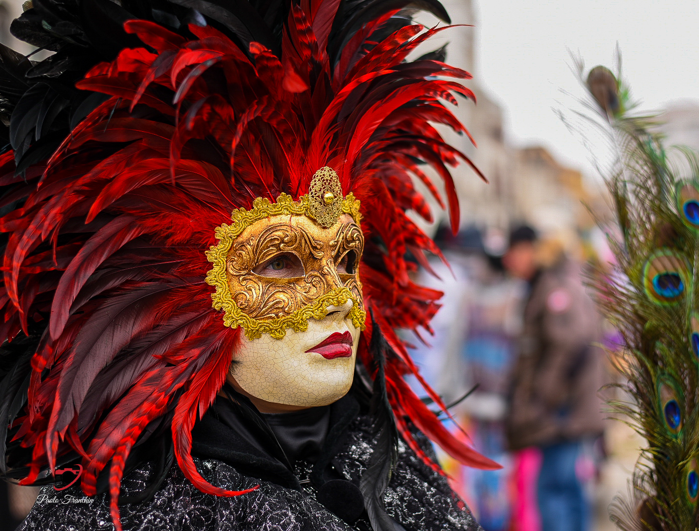 Venice Carnival!!!