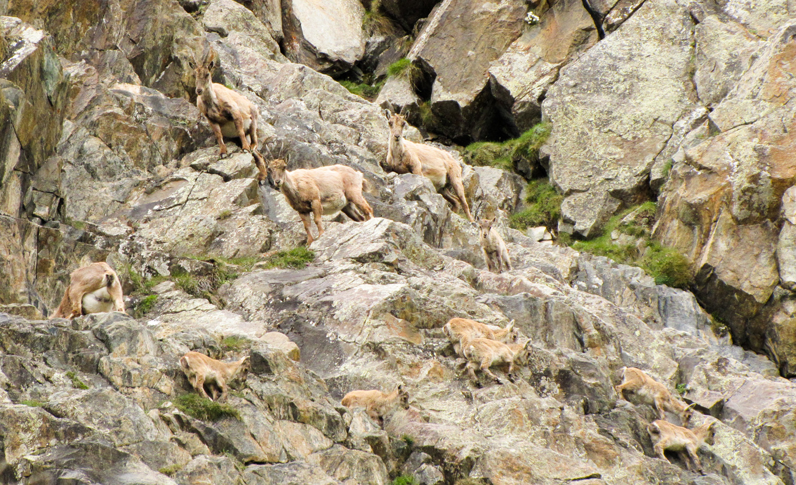 Giovani climbers crescono