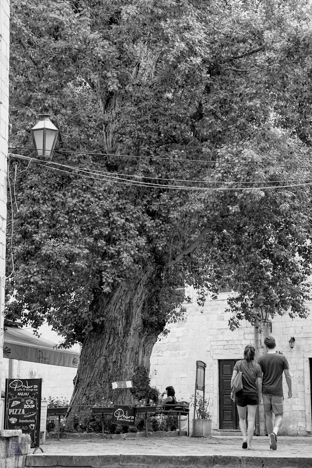 L'albero della vita