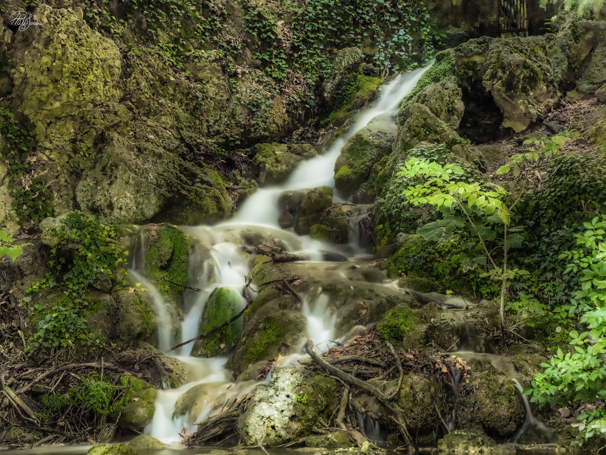 waterfall at Monza Park