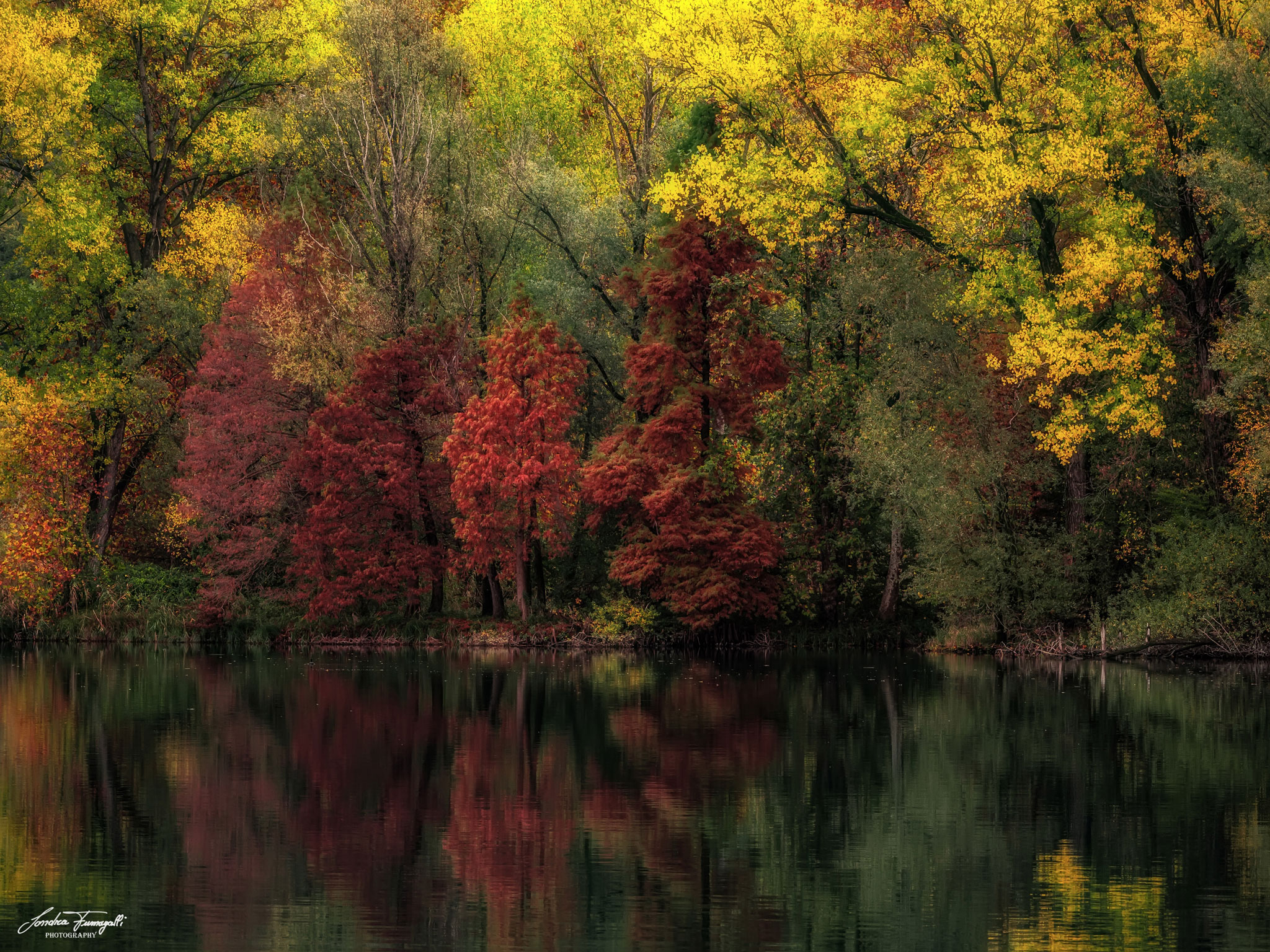 autumn on the river Adda