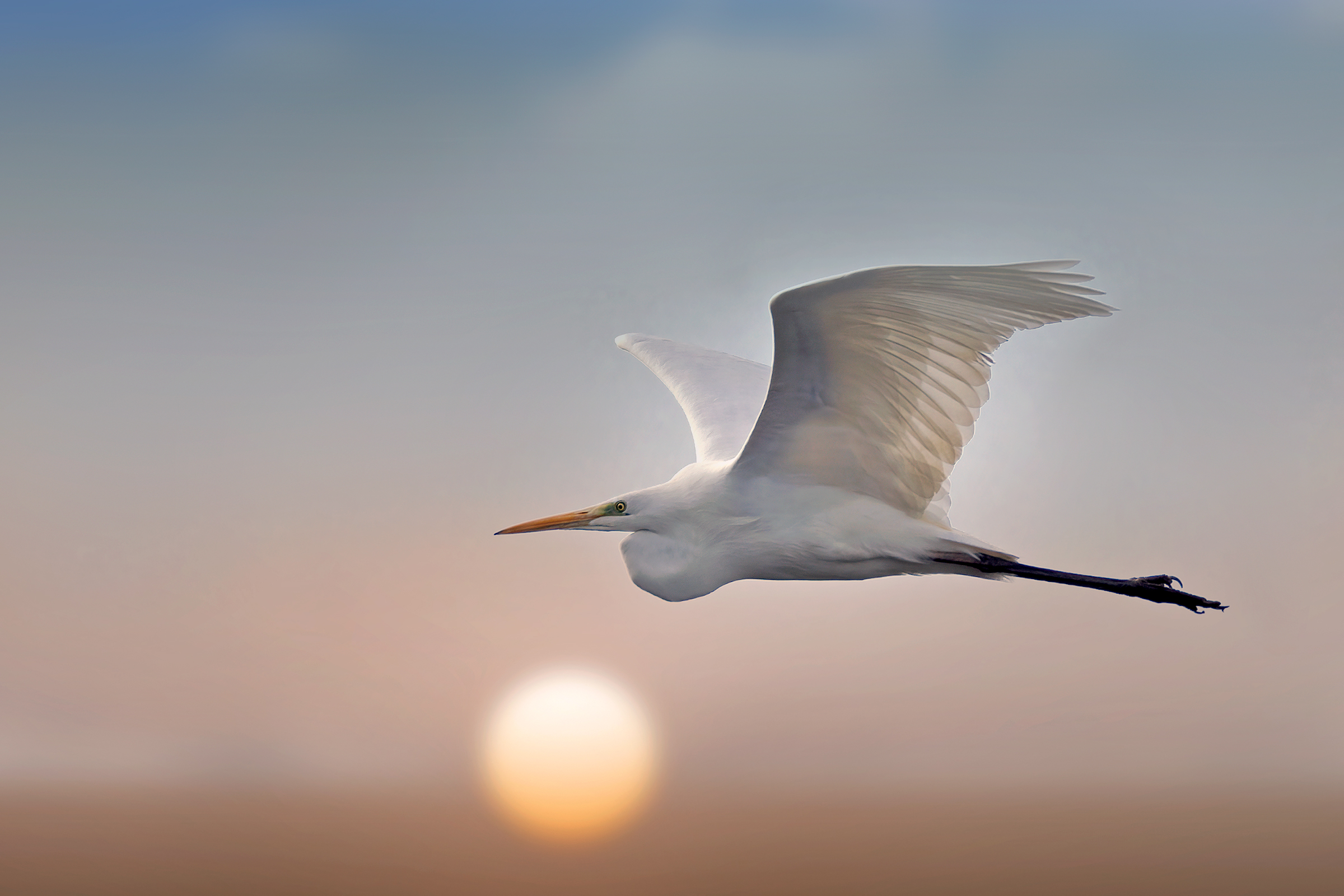 Incontri nel Parco del Mincio (mn)