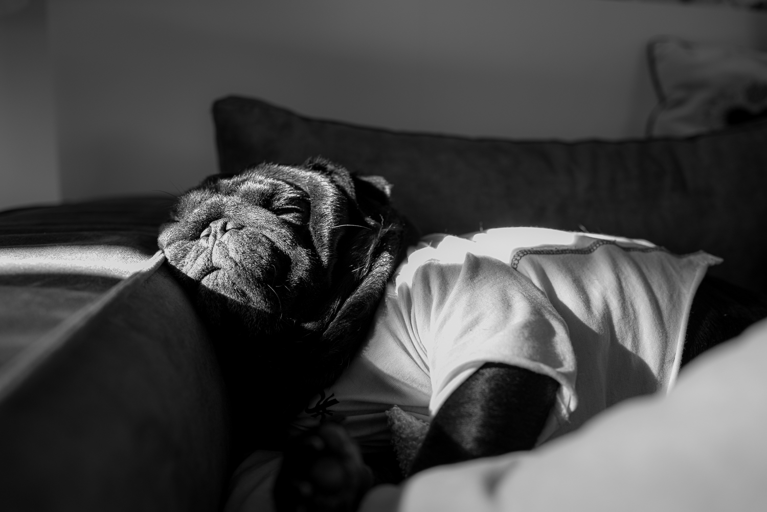 There are those who sleep...