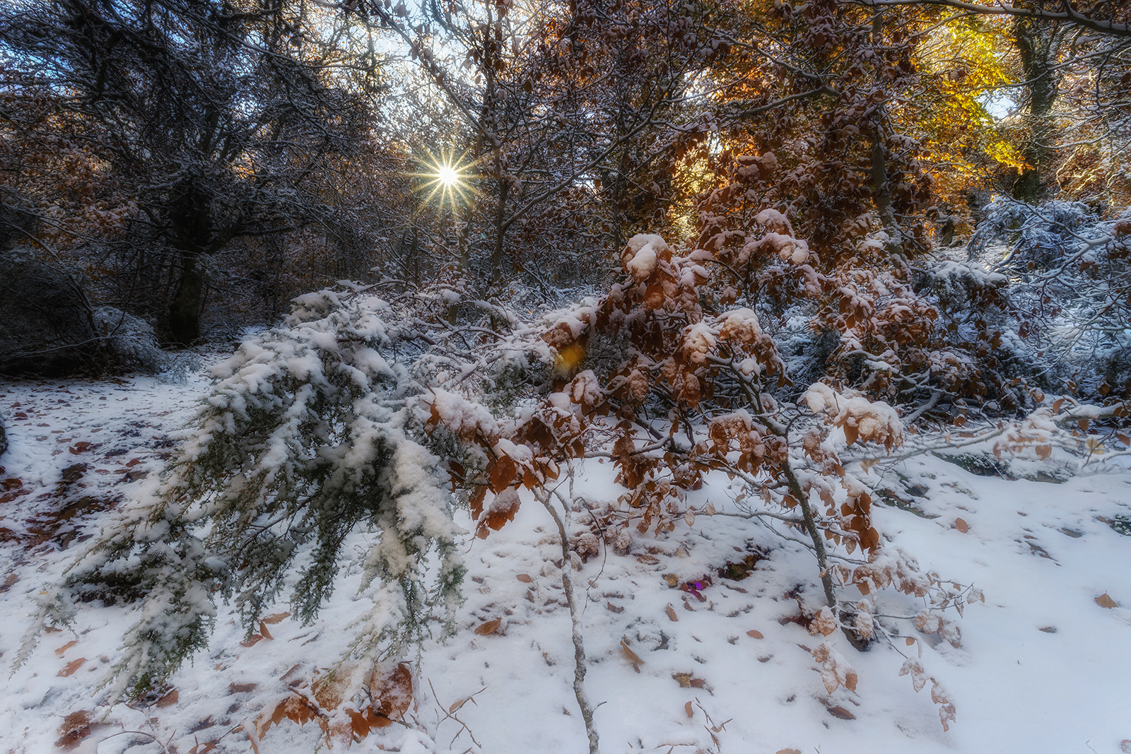 Untitled Photo