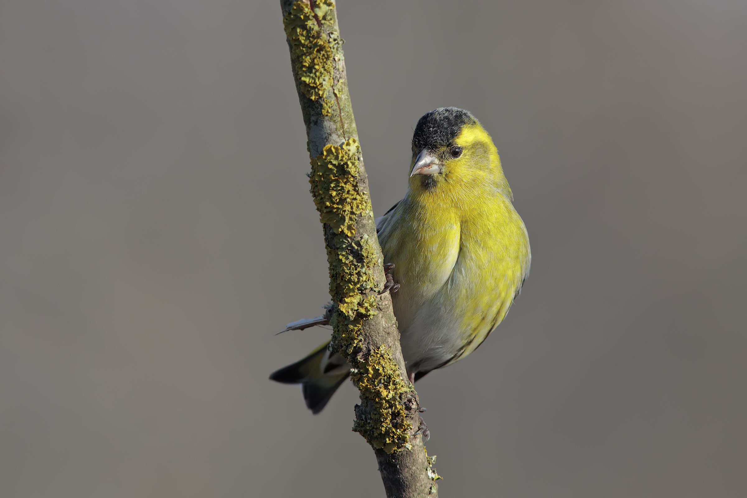 scatto ri repertorio3