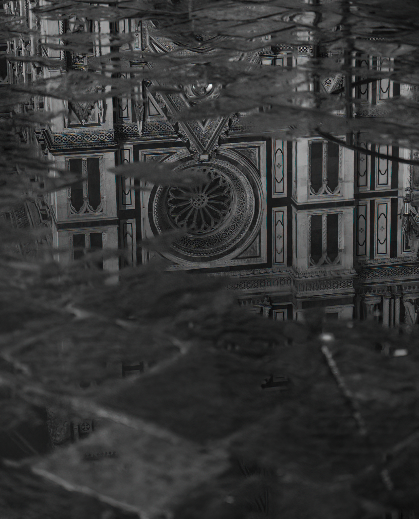 Reflections