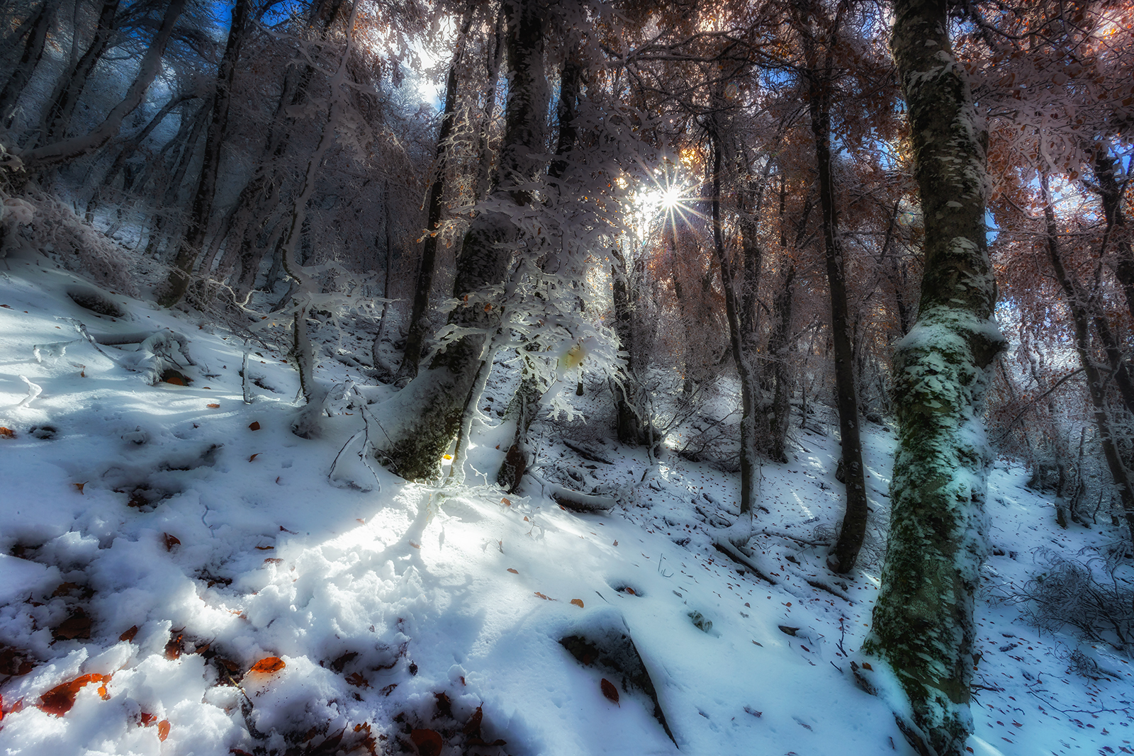 Untitled Photo