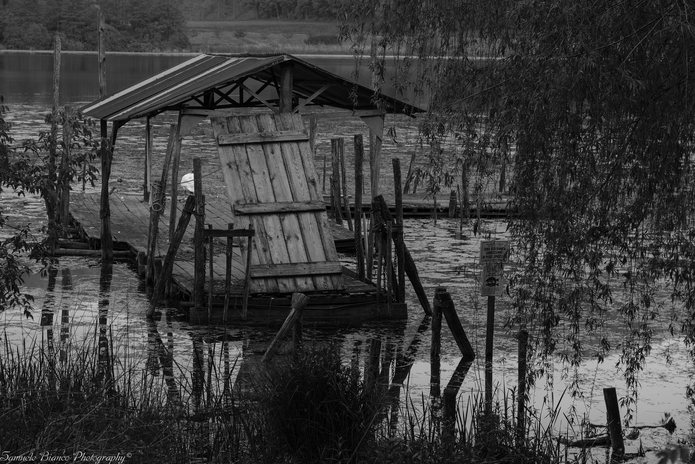 The old pier - Lake Fimon