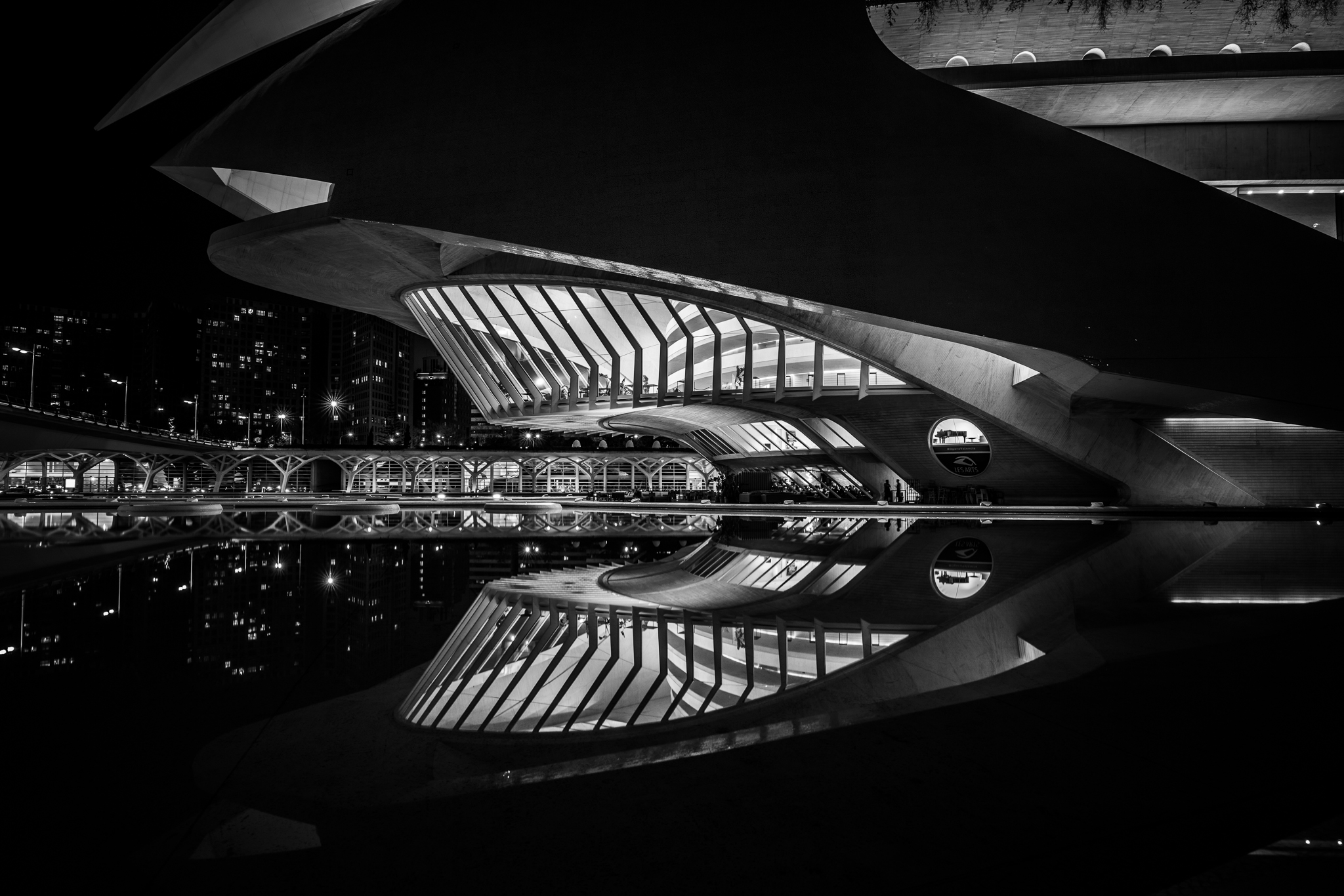 Ciutat de les Arts i les Ciences - 1