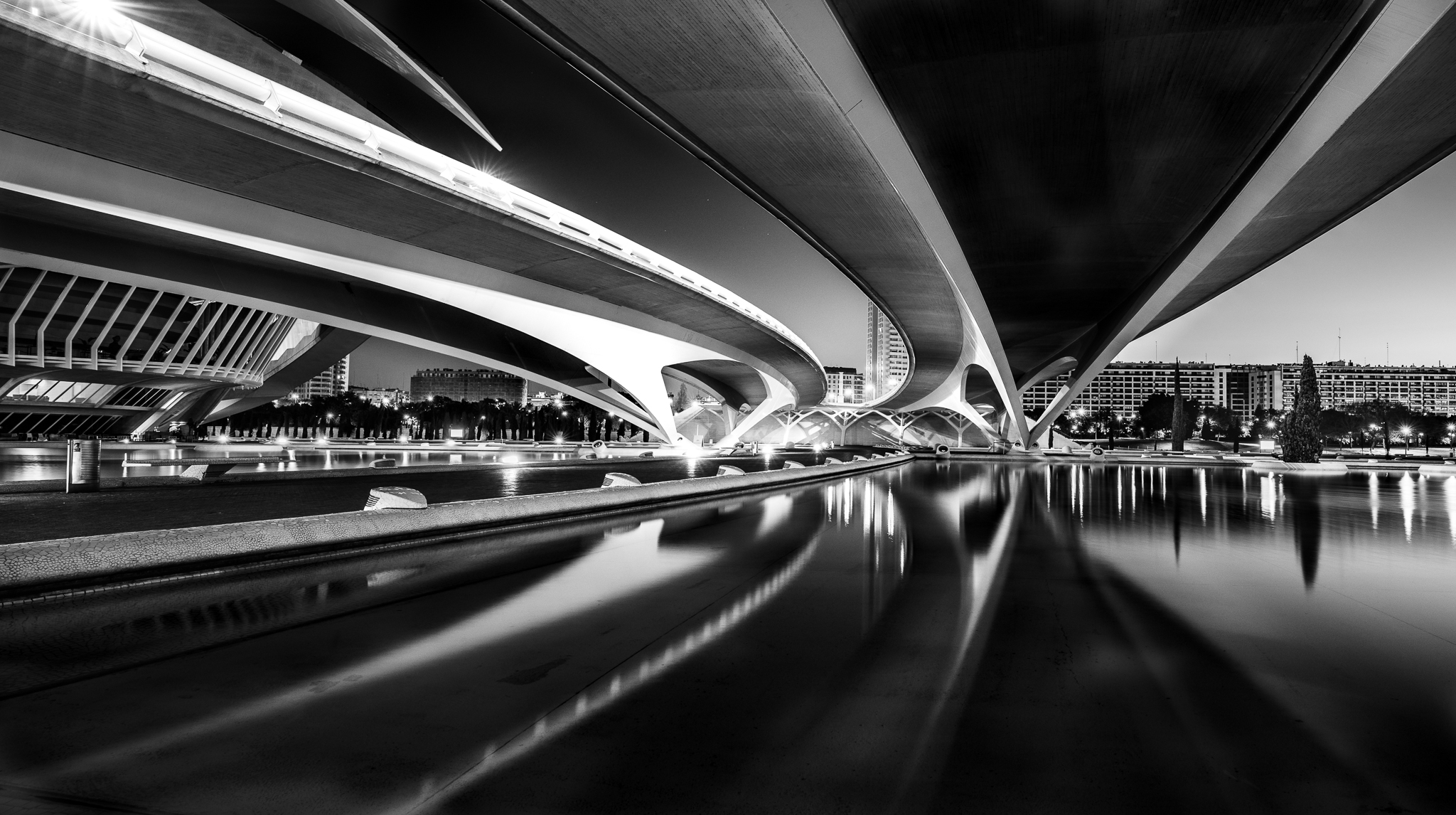 Ciutat de les Arts i les Ciences - 2