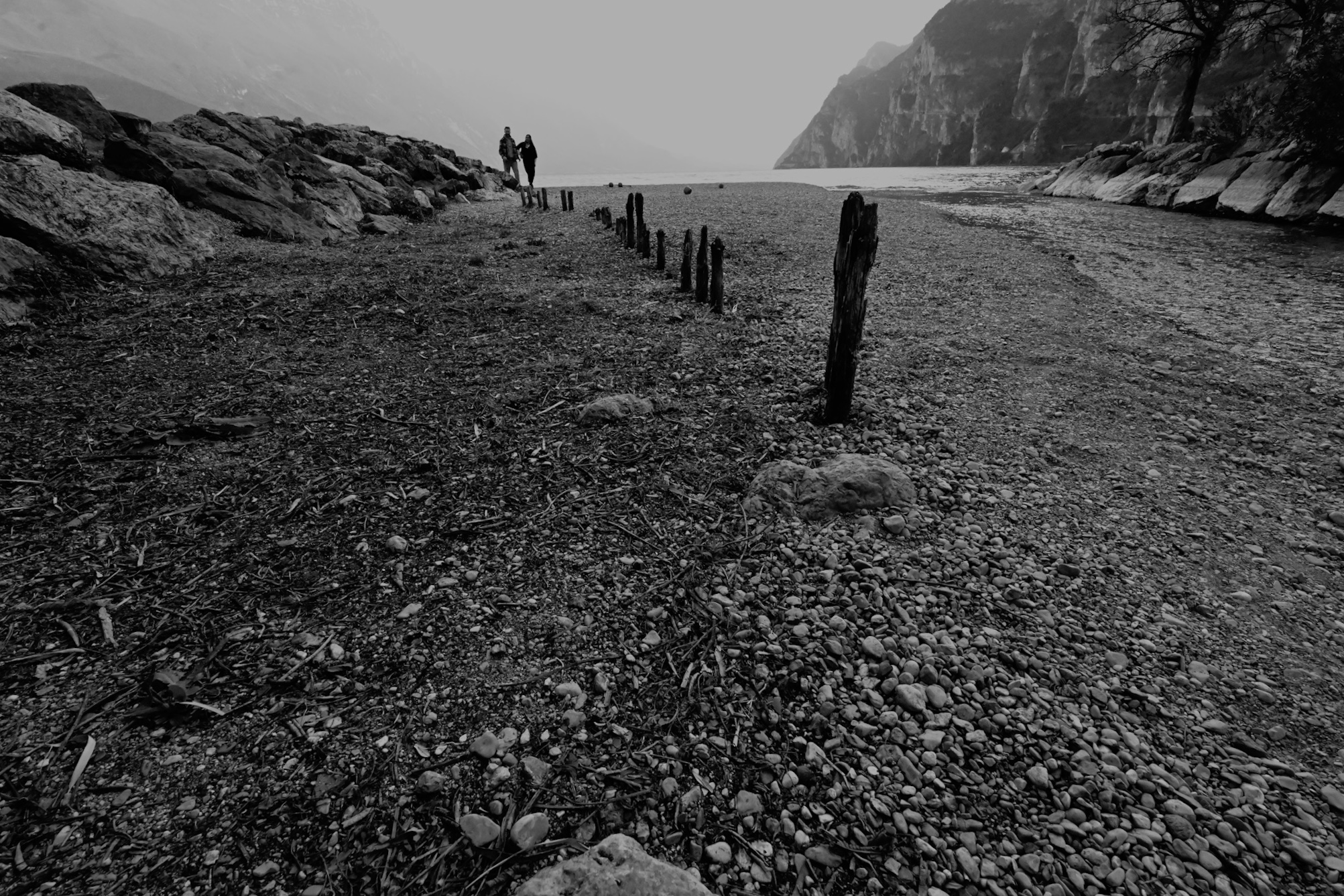 Untitled Photo