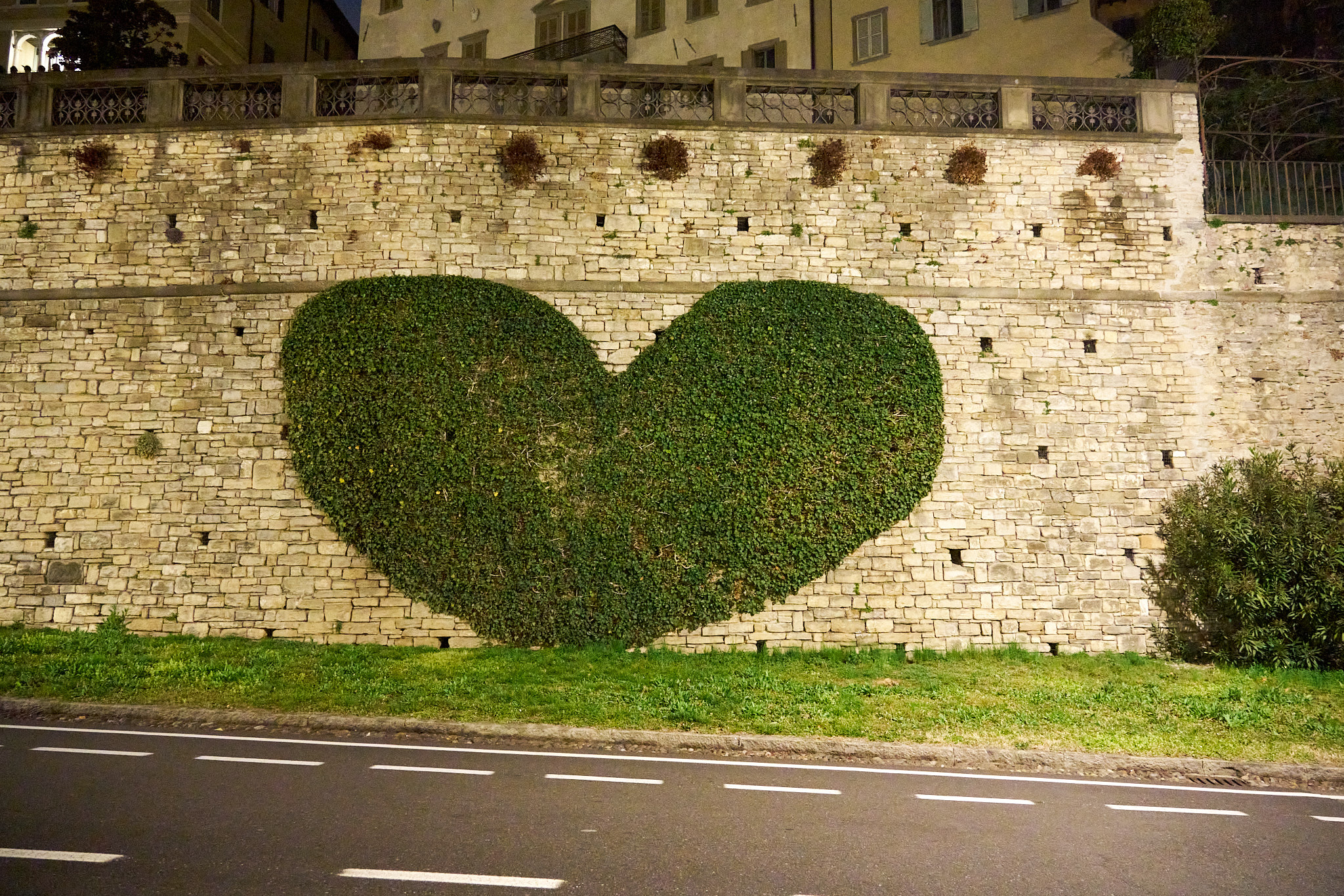 heart