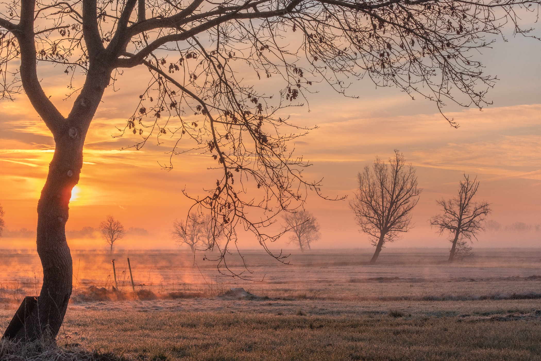 Untitled Photo