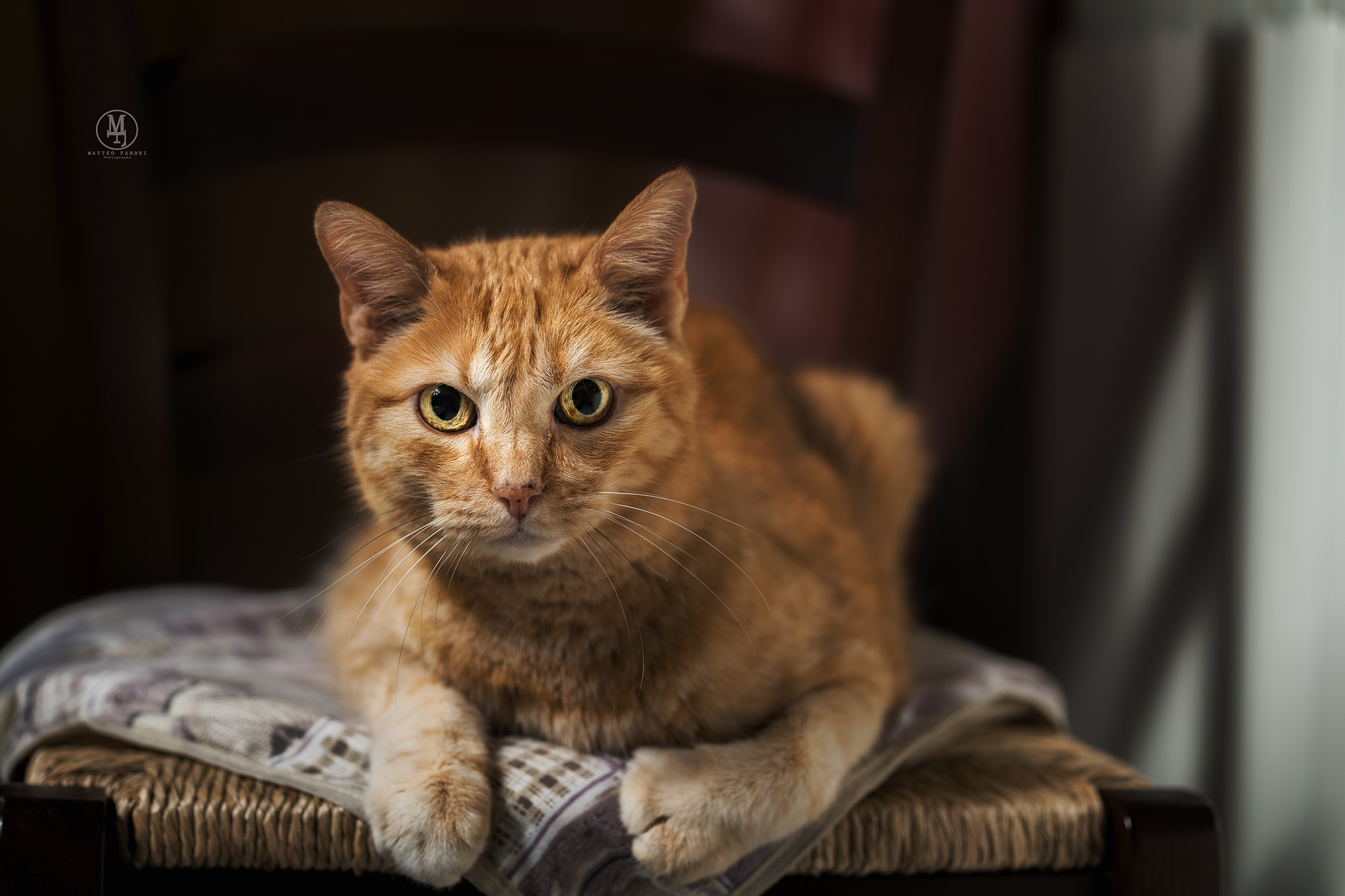 Oliver