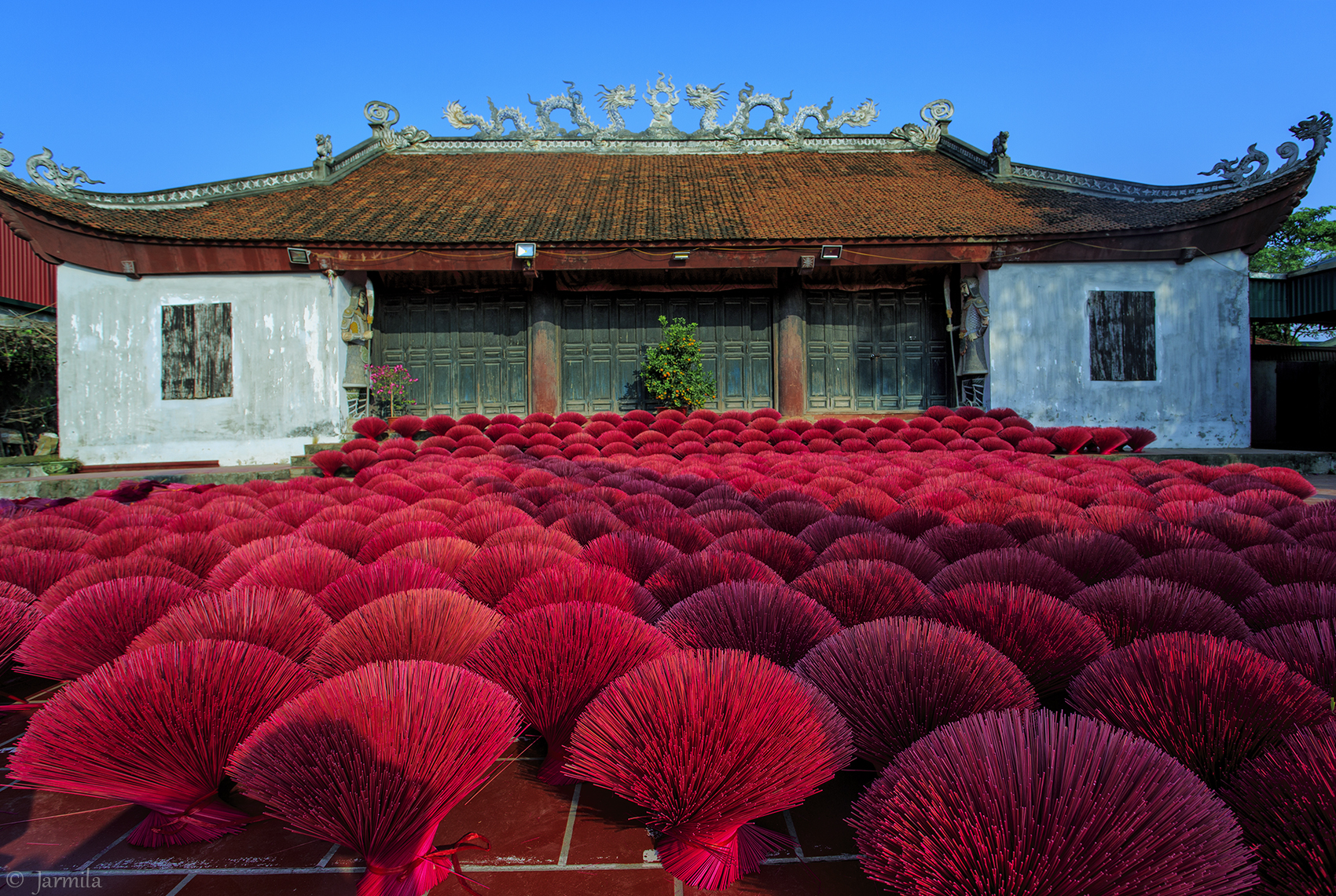 magenta incense sticks