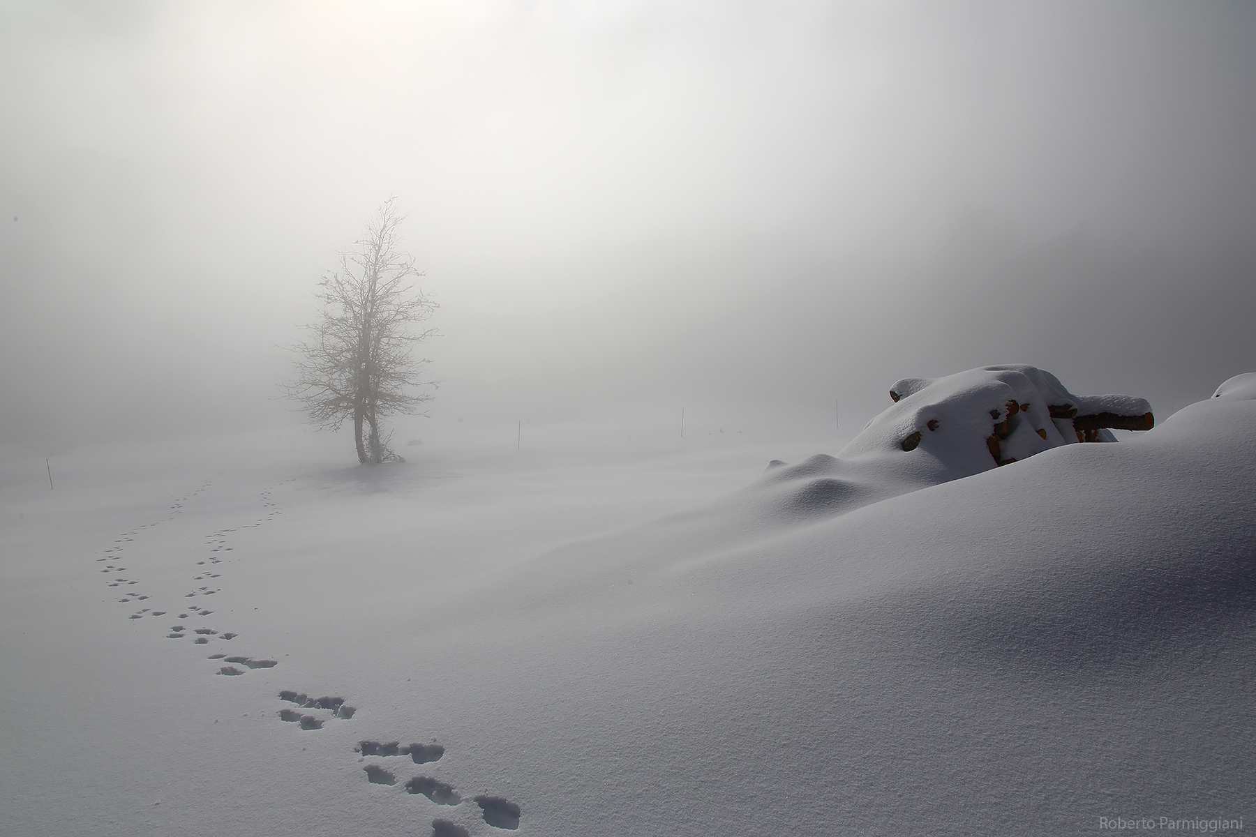 Il regno del silenzio