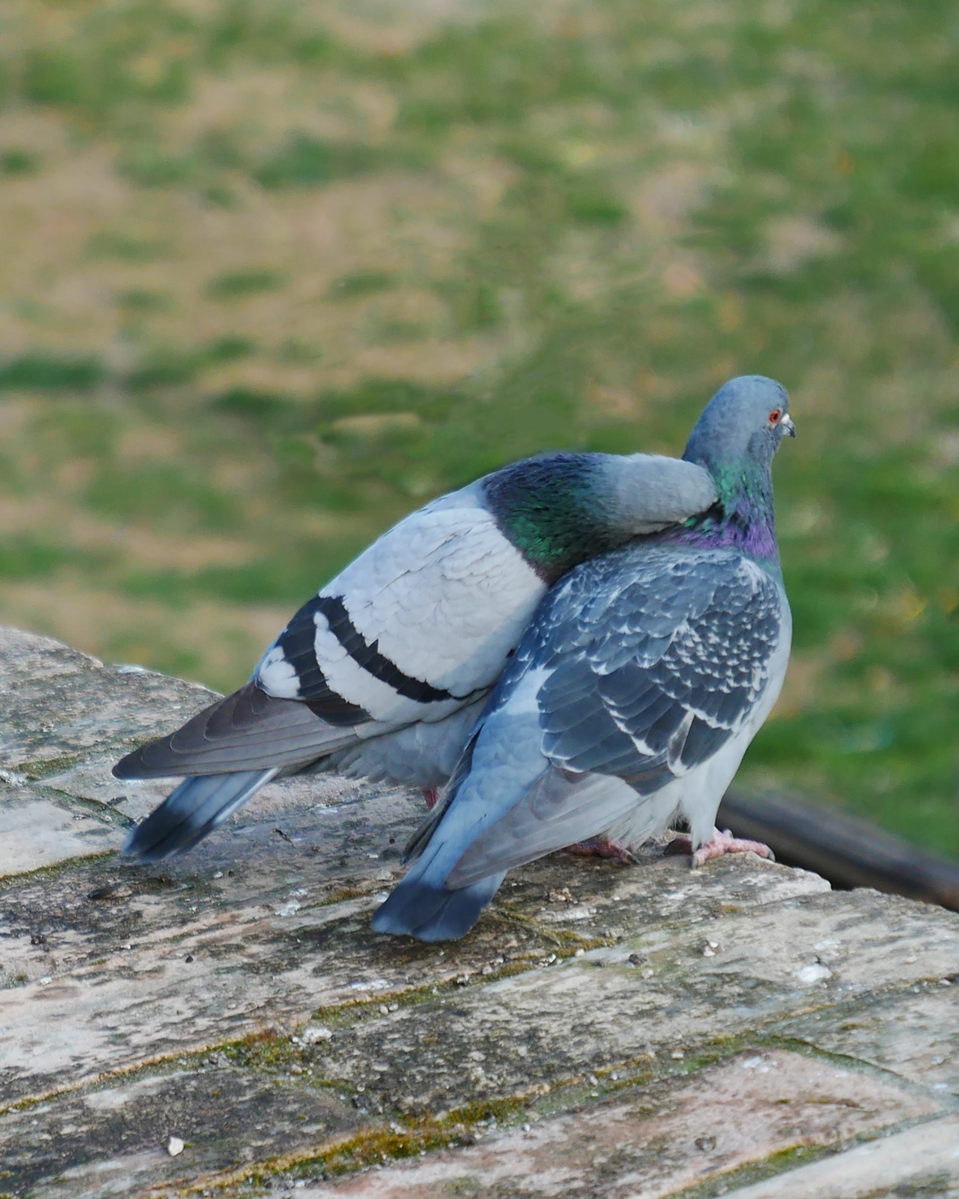 Bravo, it itches right there!