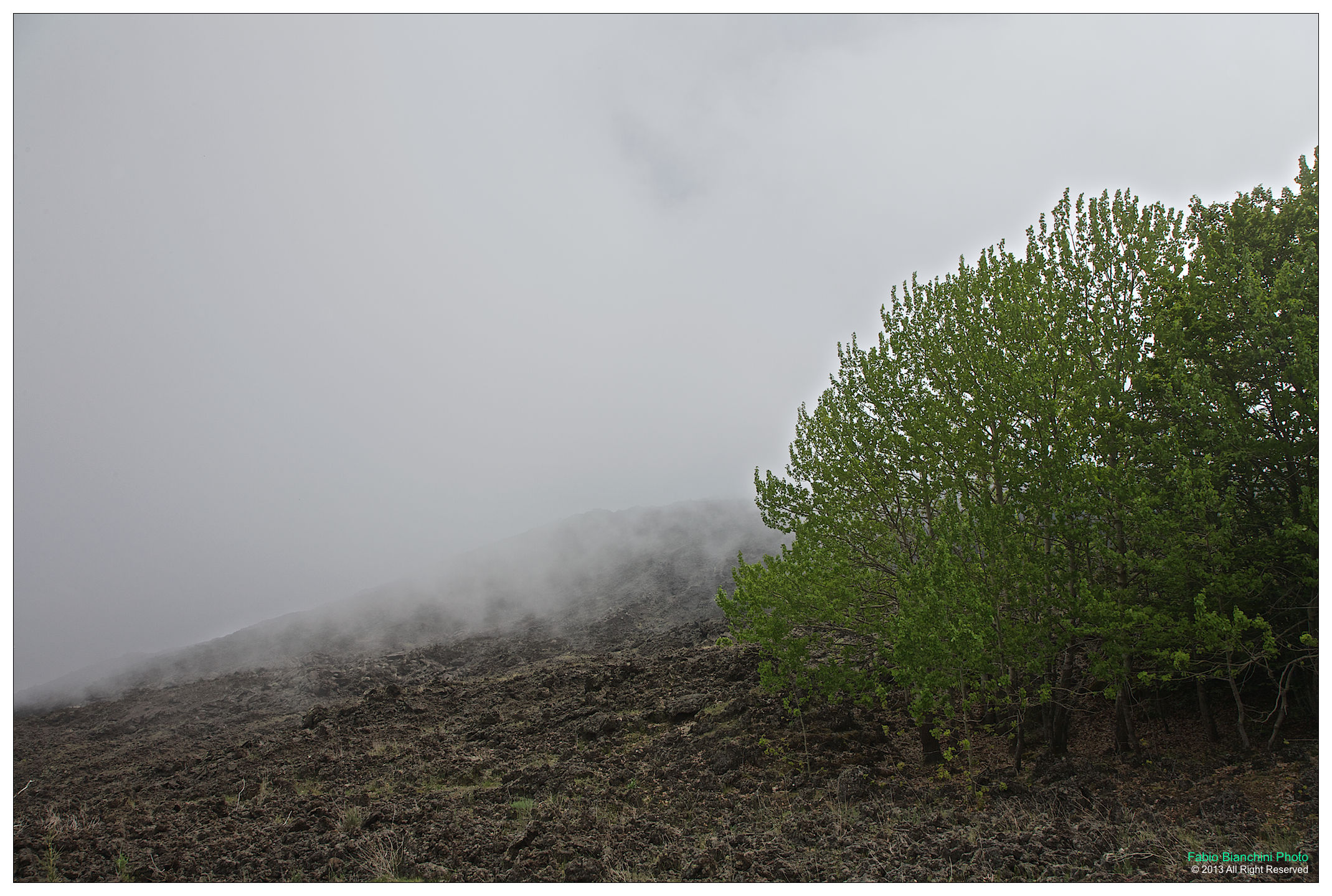 Fog in arrivoooo ...