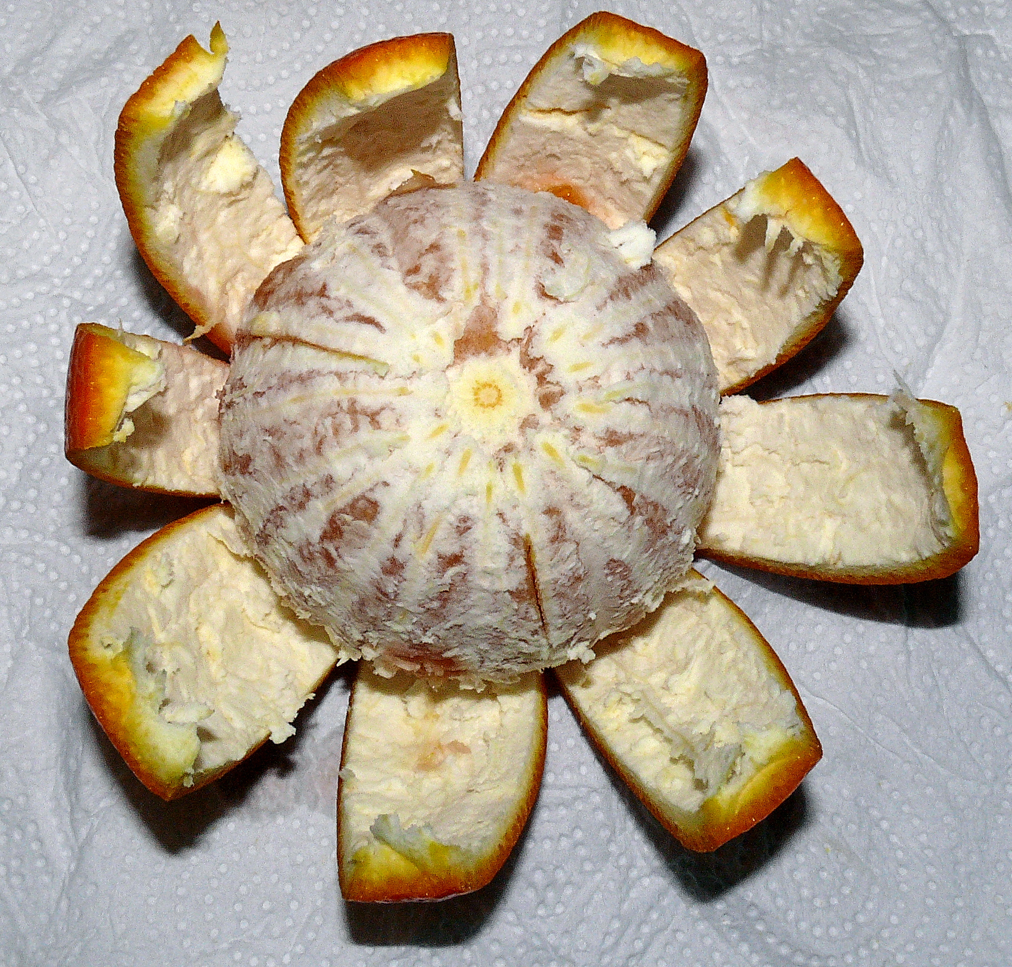 AranciaItalyA