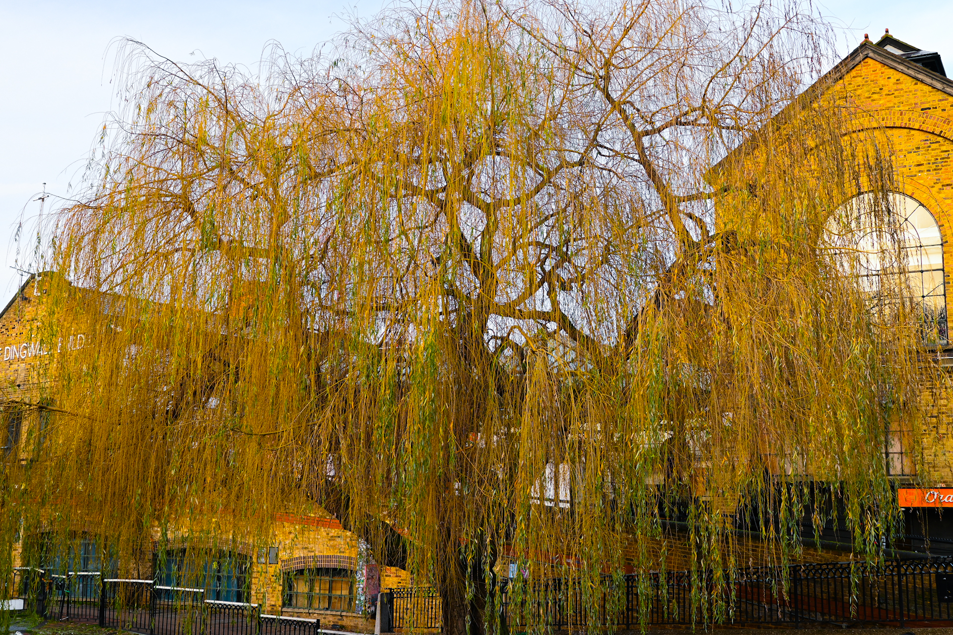 Camden Town - Londra