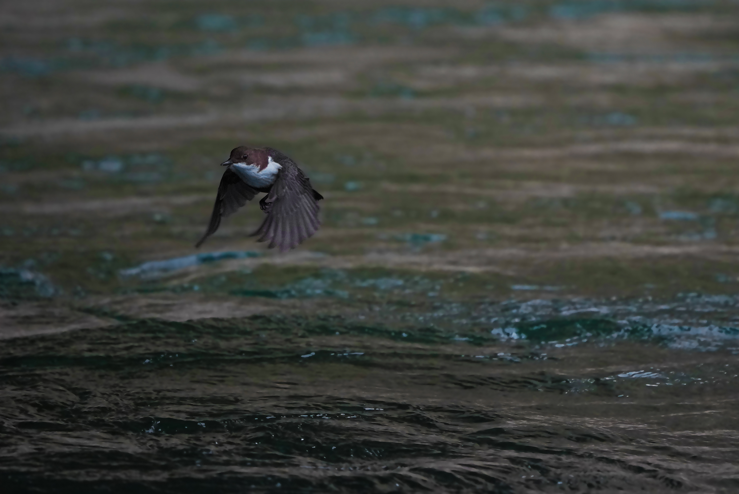 The flight of the dipper