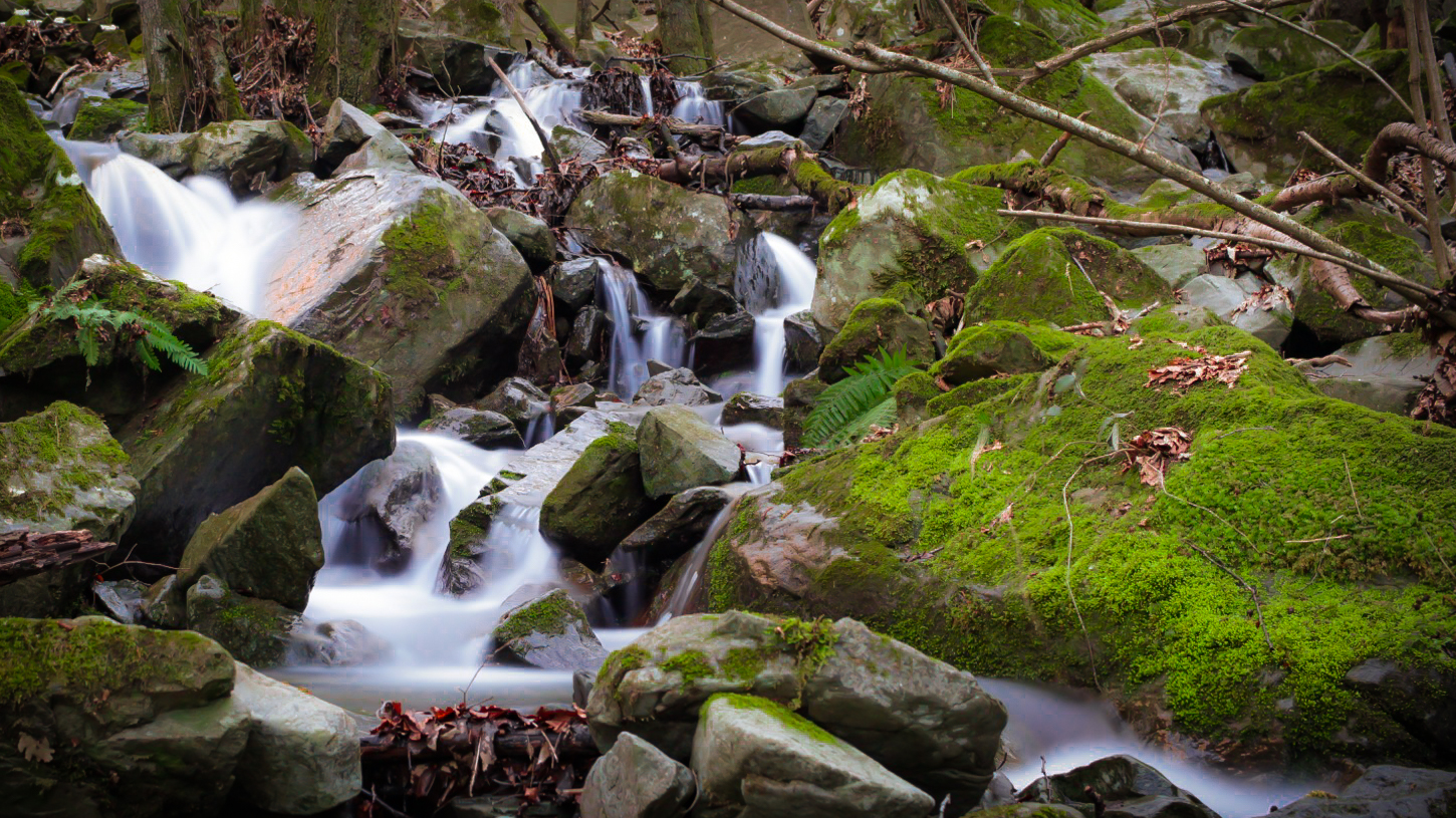 State Reserve Acquerino Pistoia