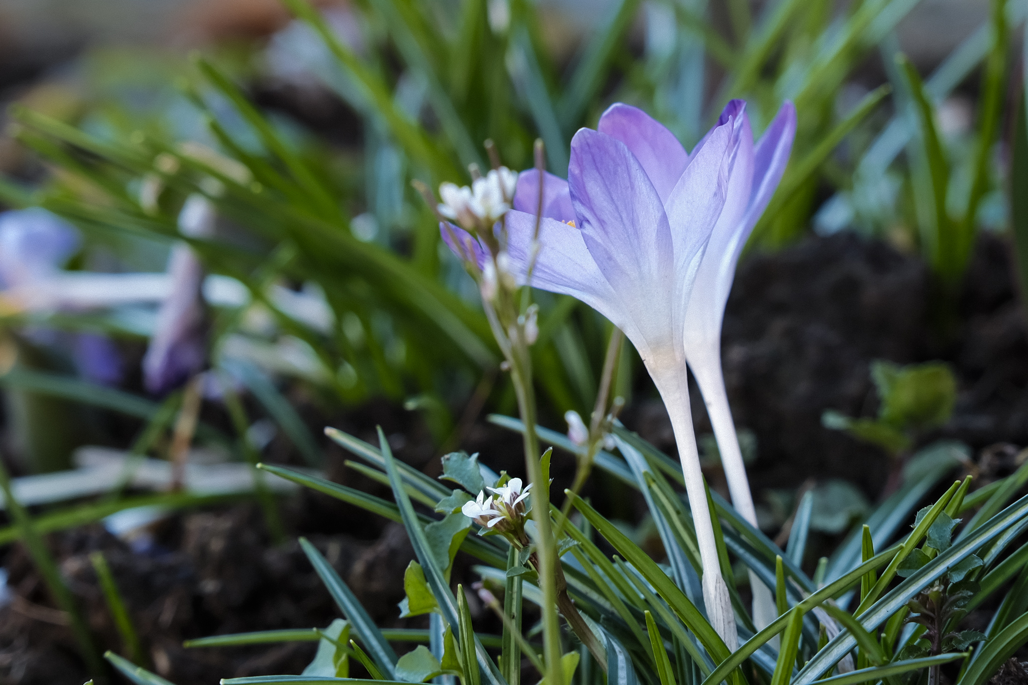 Il solito,grazie....