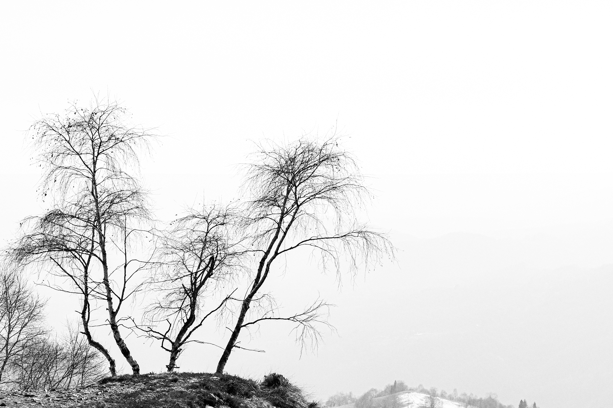 Suspended in the fog