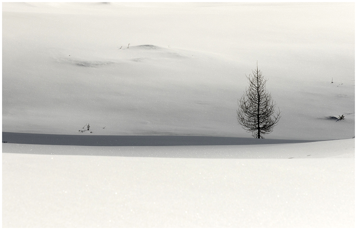inverno.