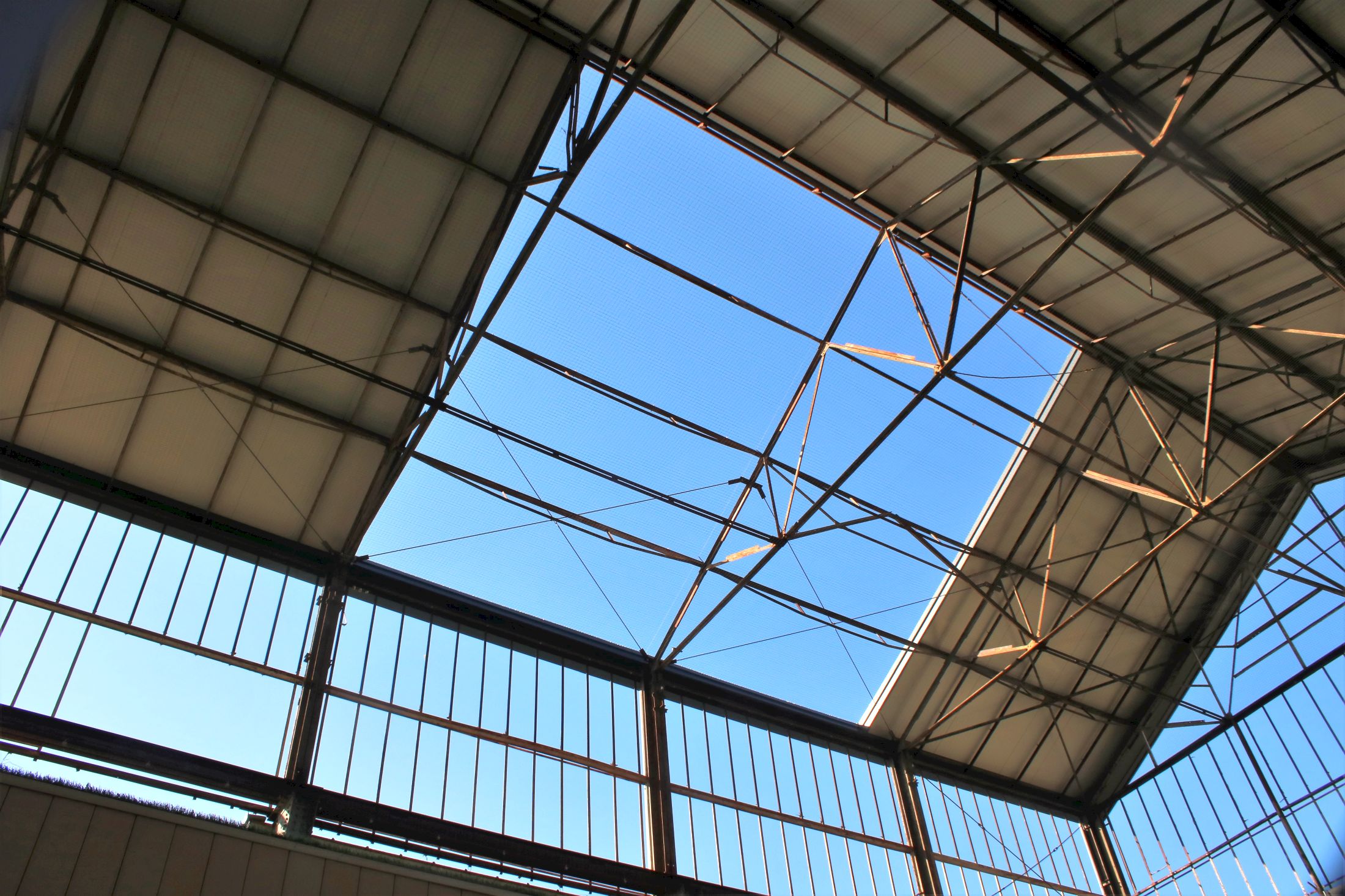 Il cielo sopra le Reggiane V