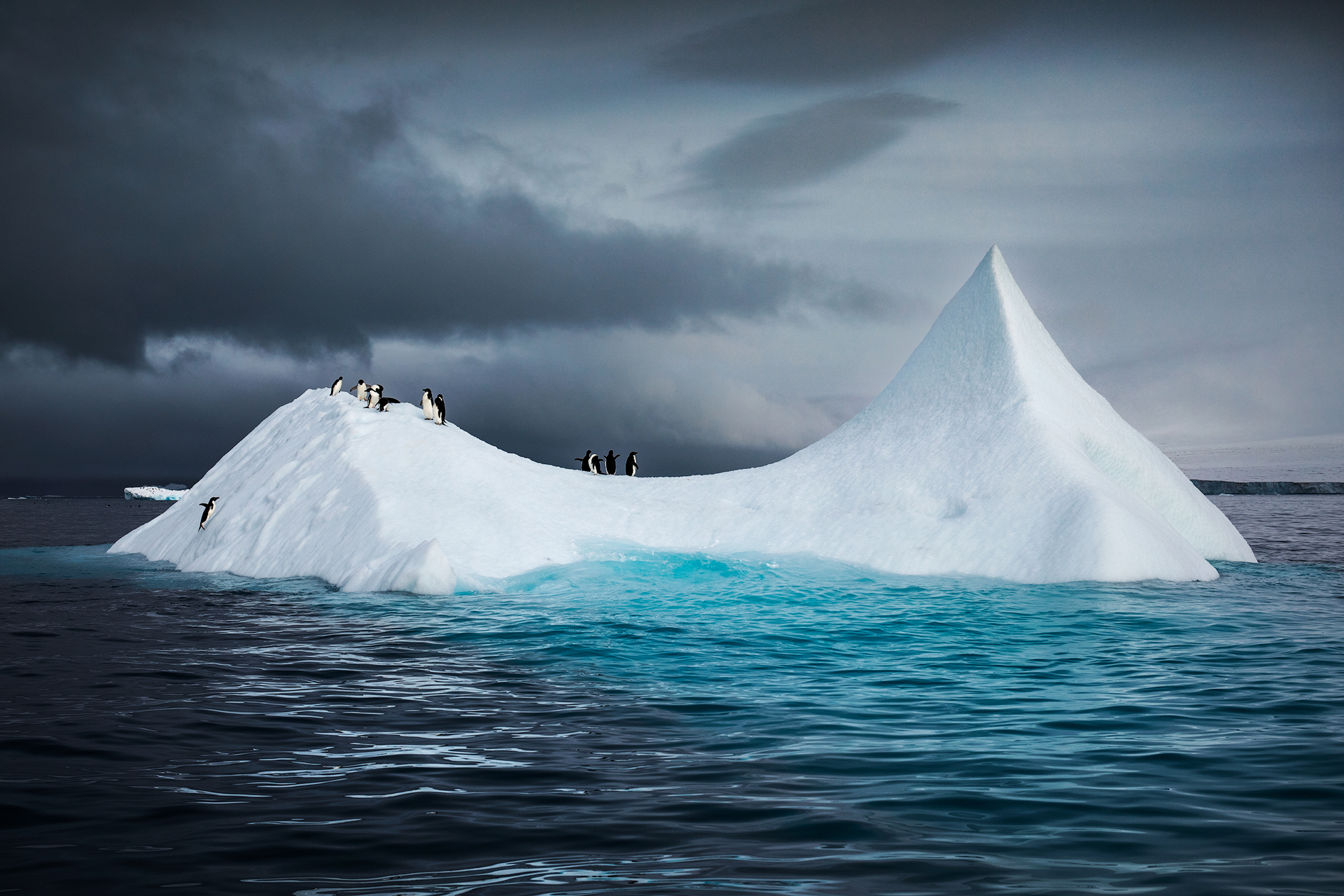 Empire of the Penguins