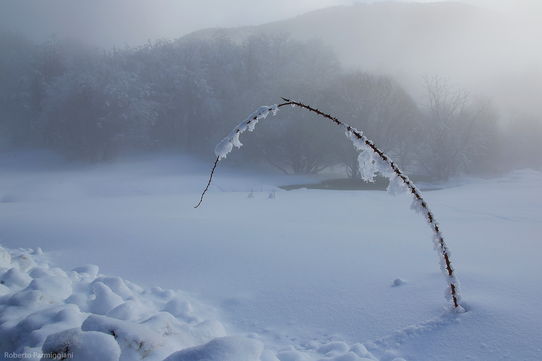 The sound of silence