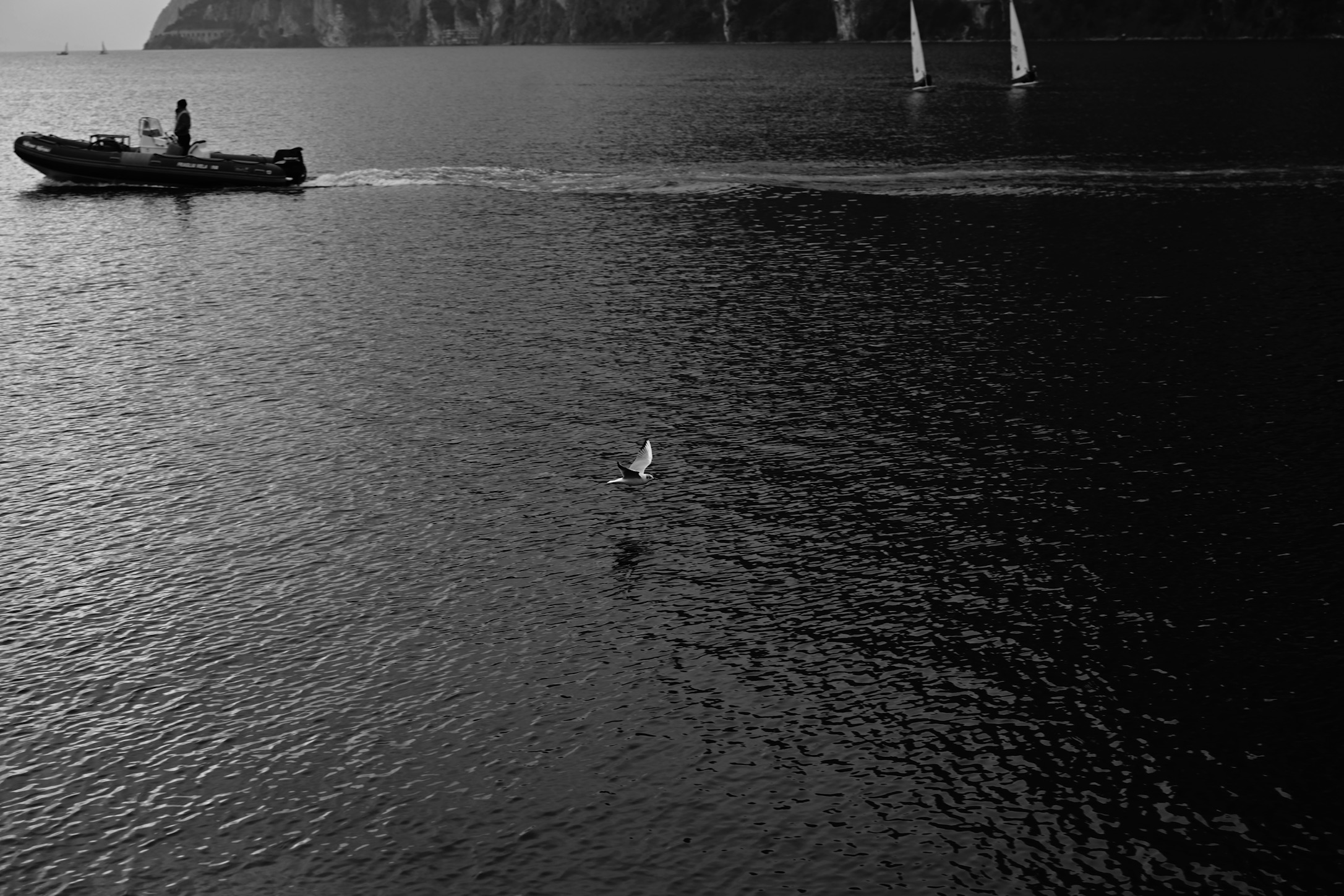 Untitled Photo