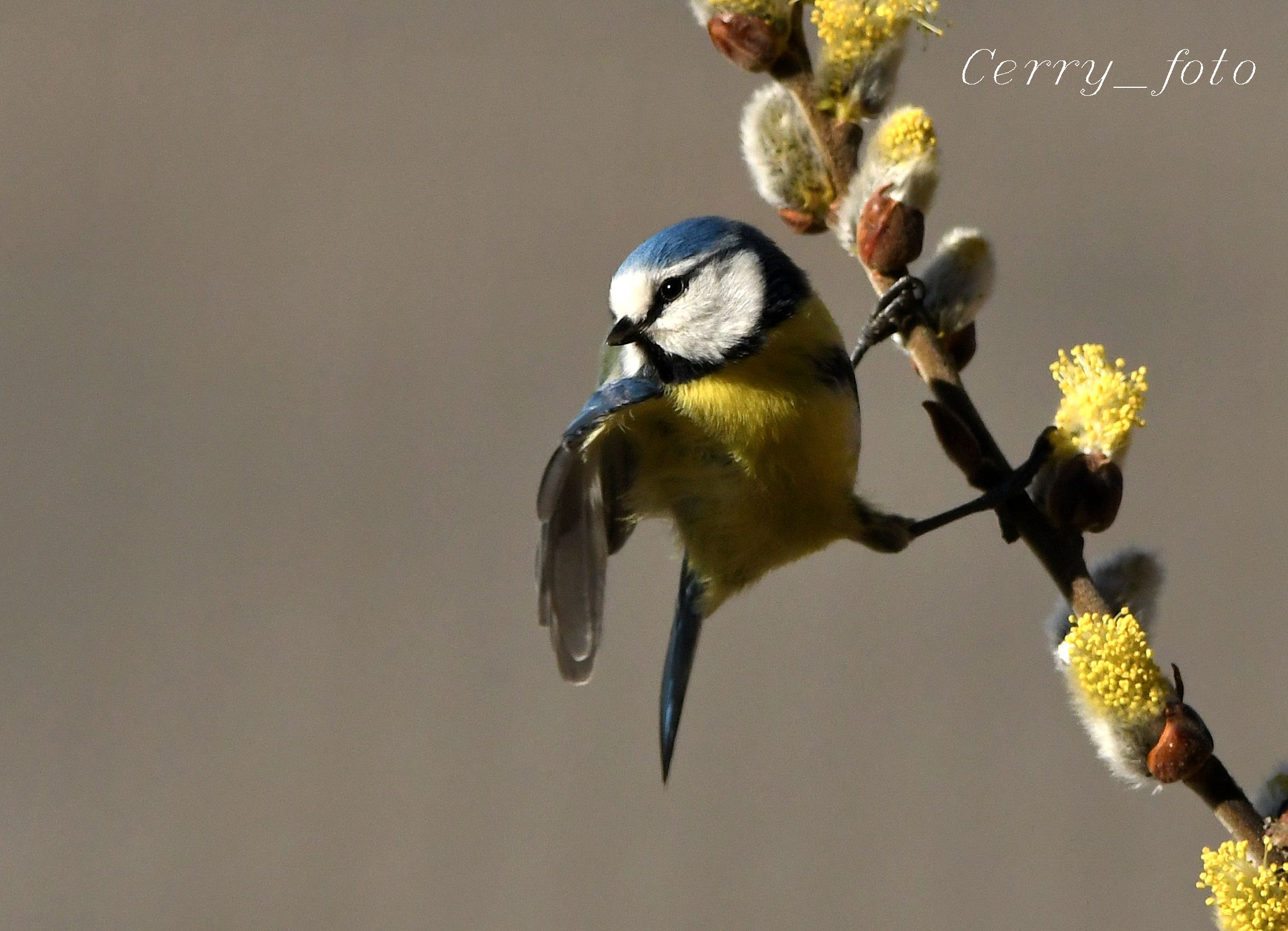 Early morning blue tie