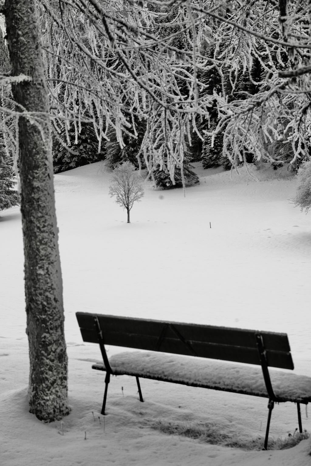 Untitled Photo