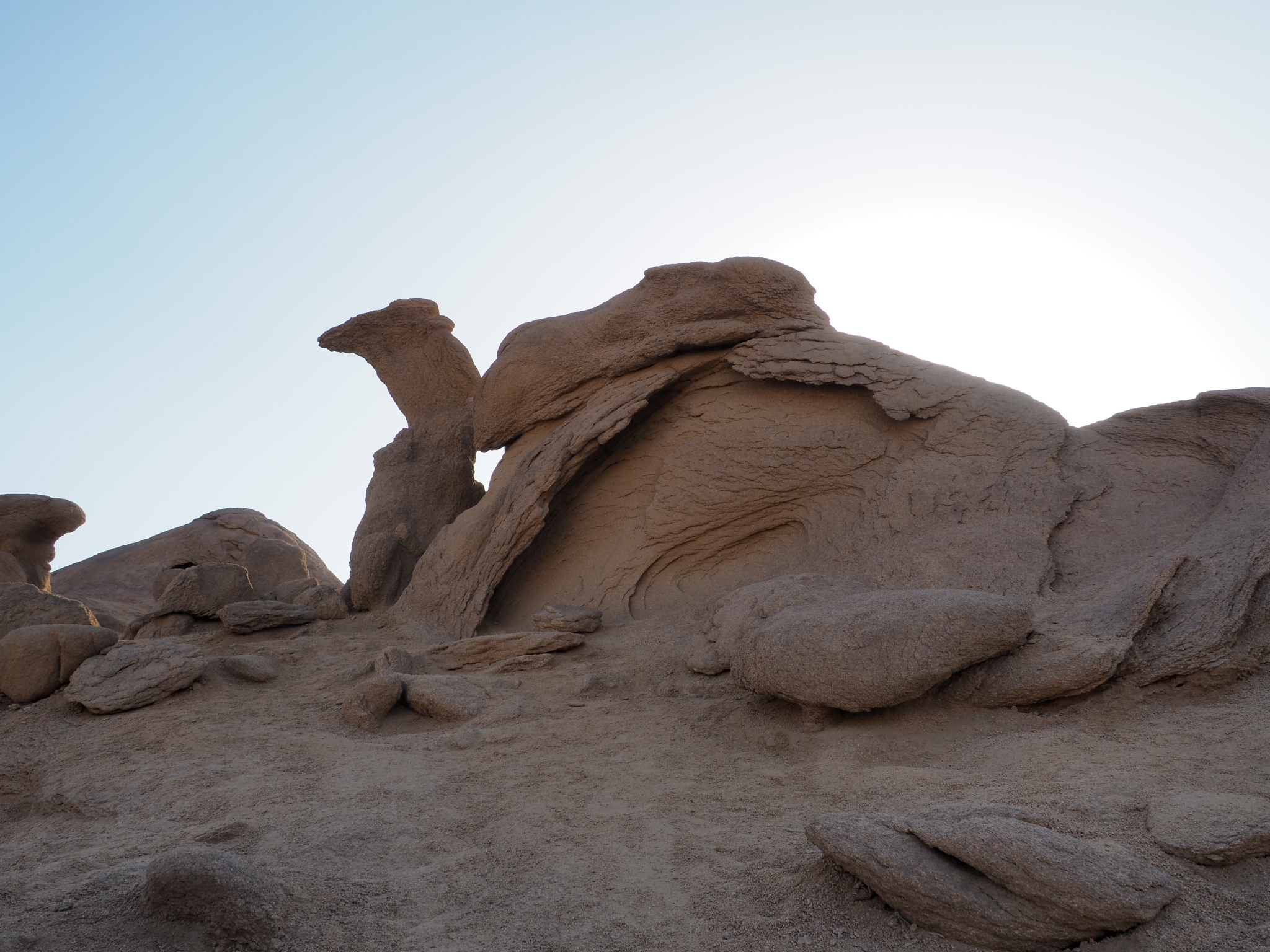 The Camel