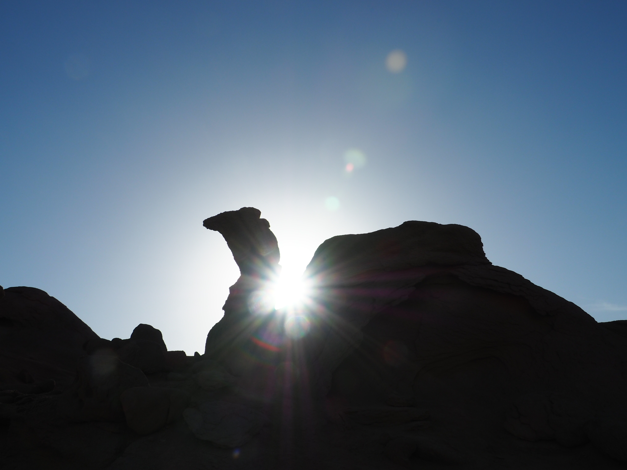 Sun in the Camel