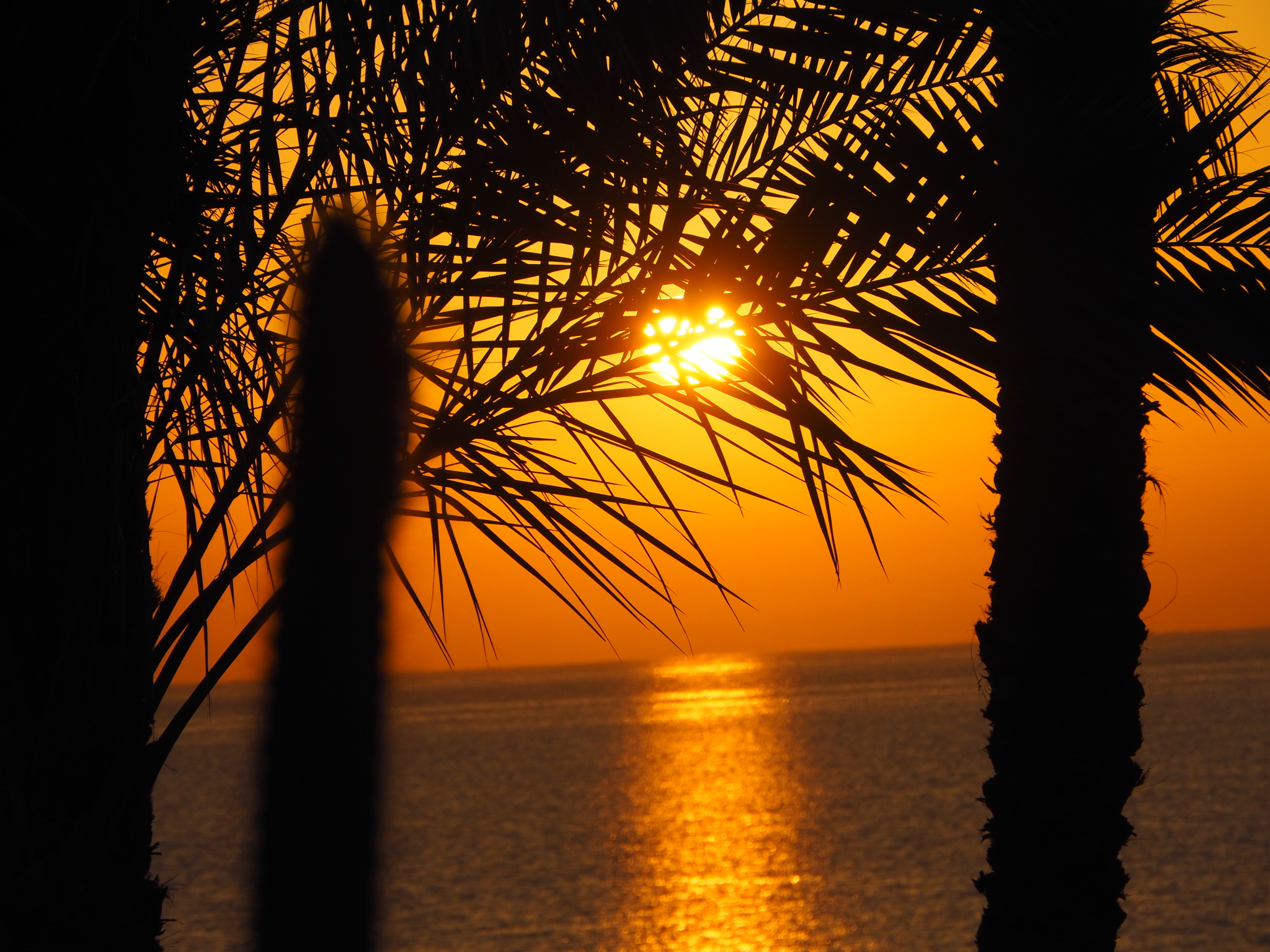 Sunrise on the sea
