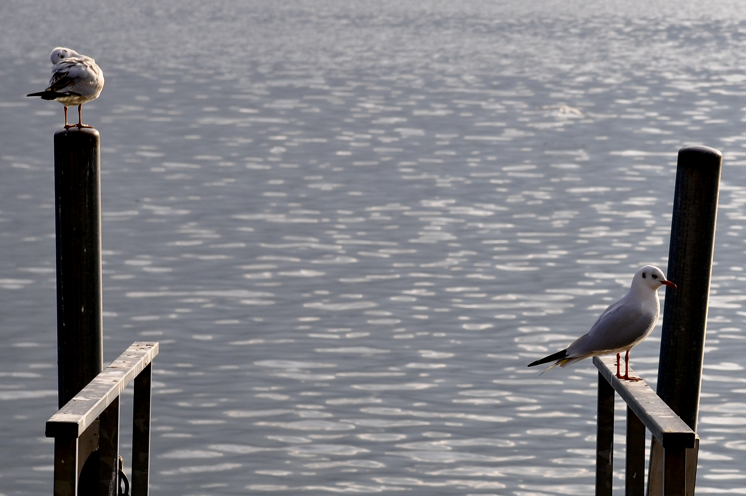 fatti bella, io aspetto