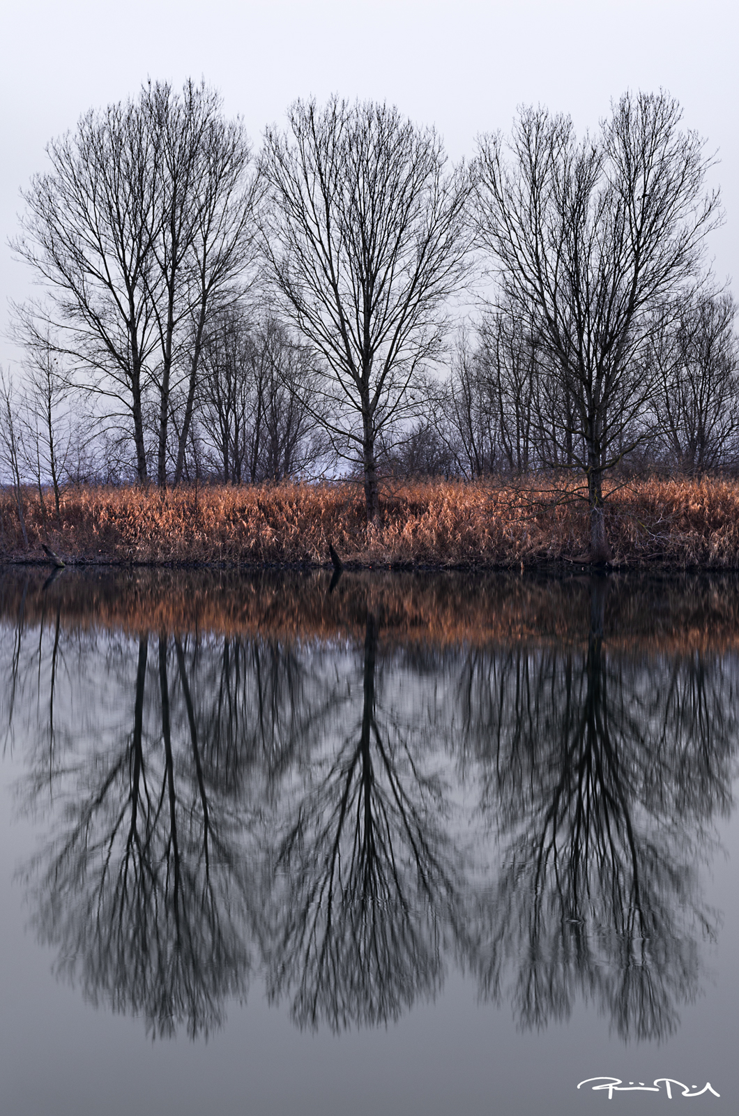 The river in winter